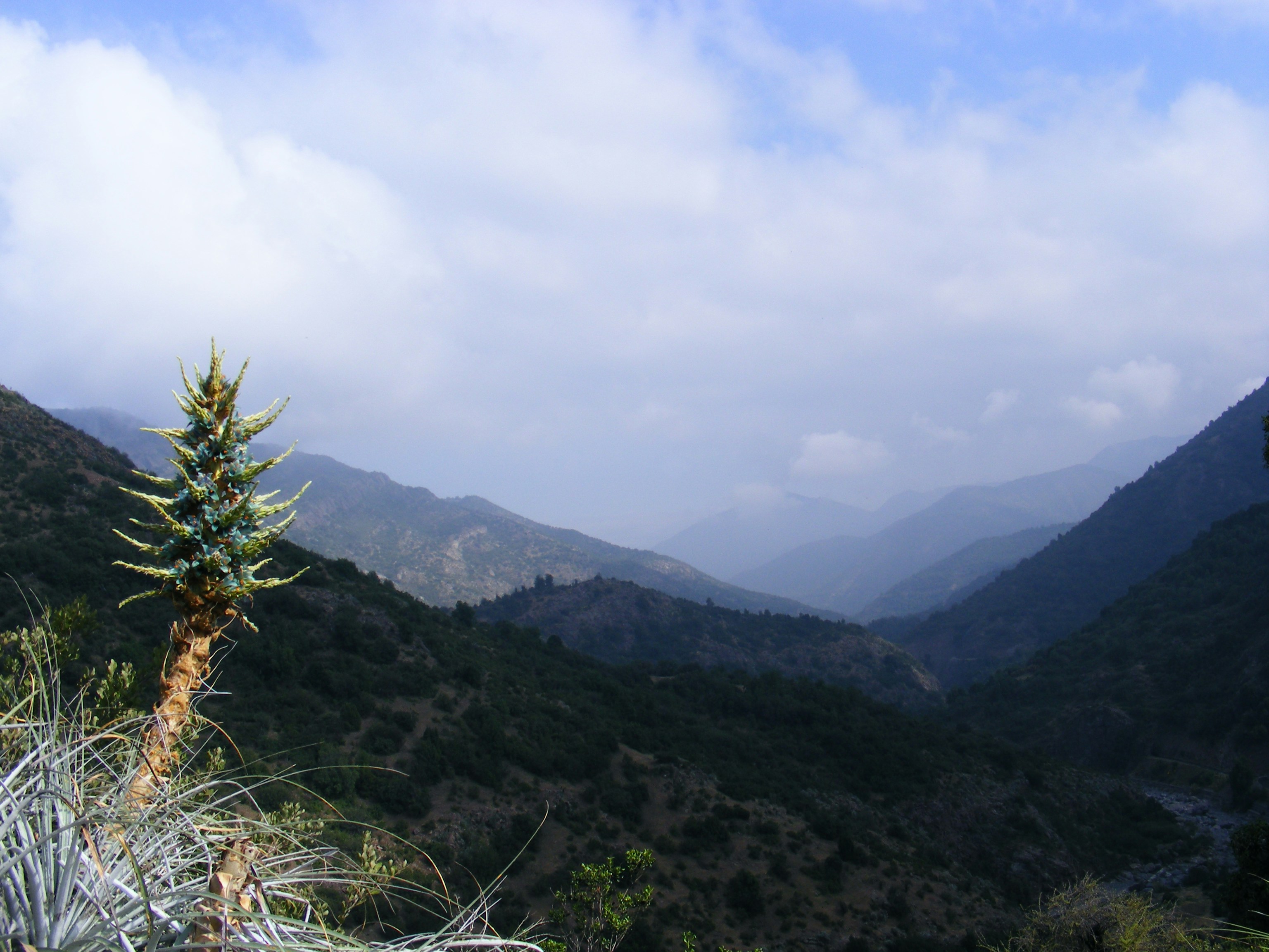 Free Unsplash photo from Guala Drake