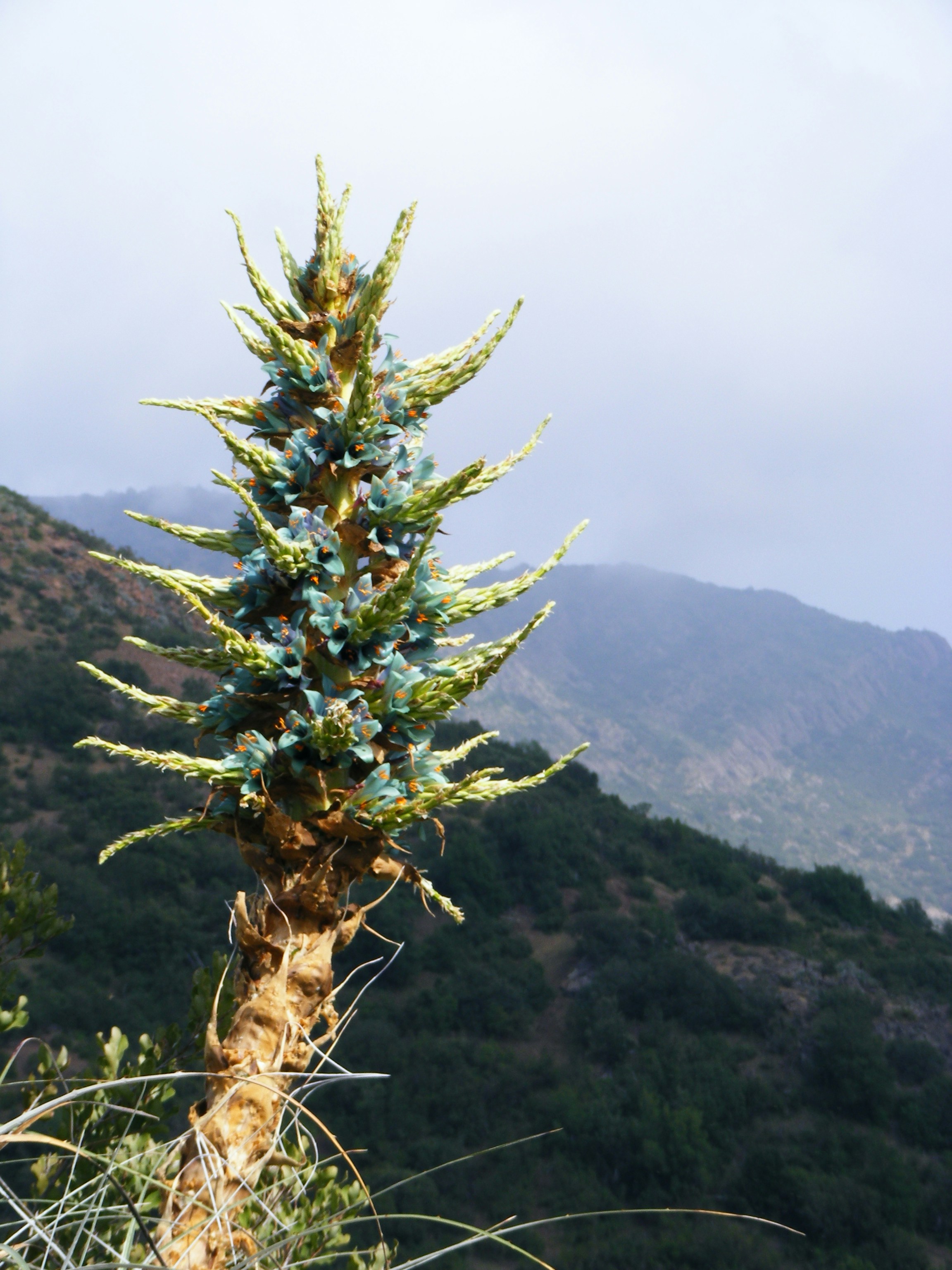 Free Unsplash photo from Guala Drake