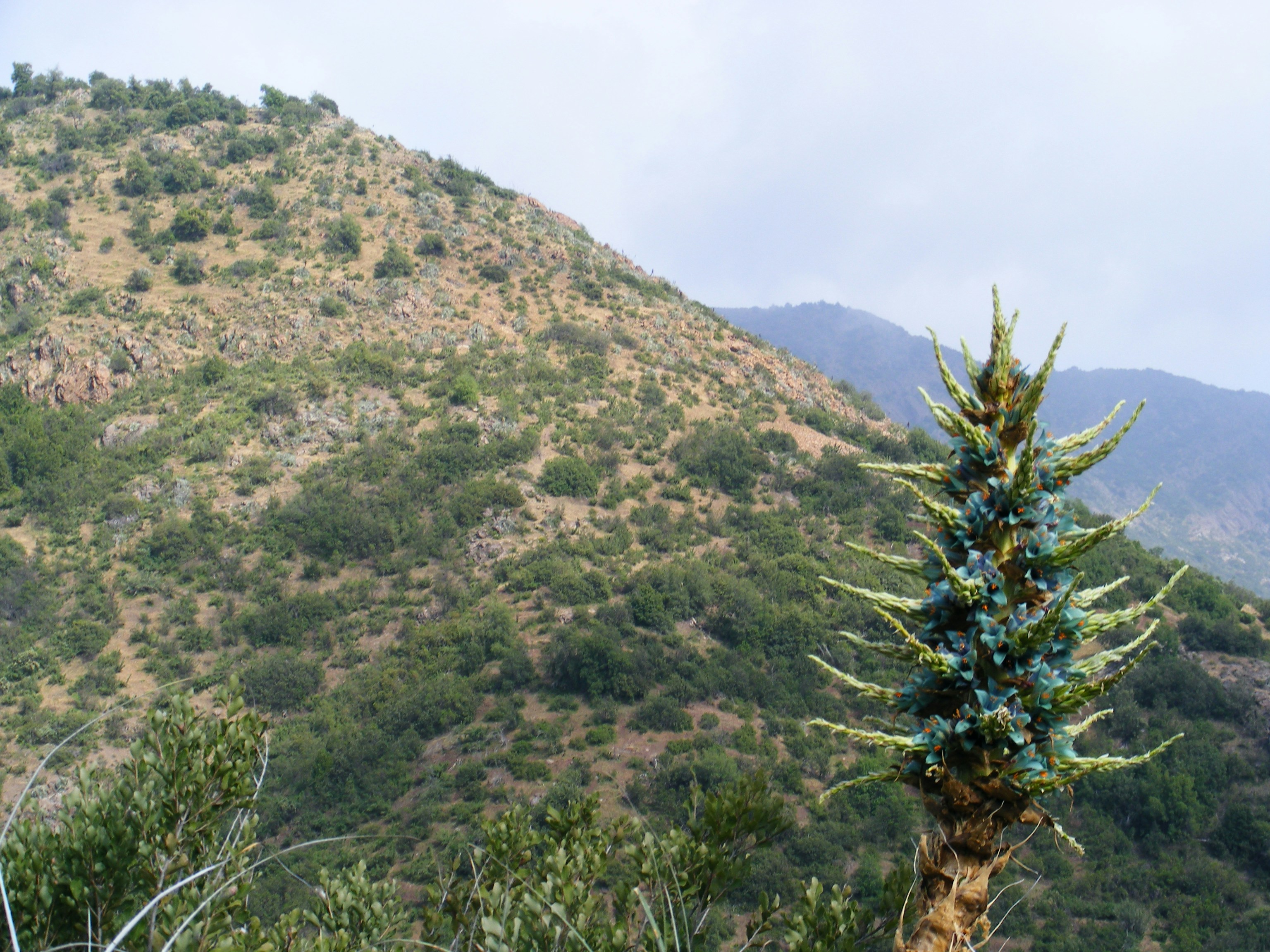 Free Unsplash photo from Guala Drake