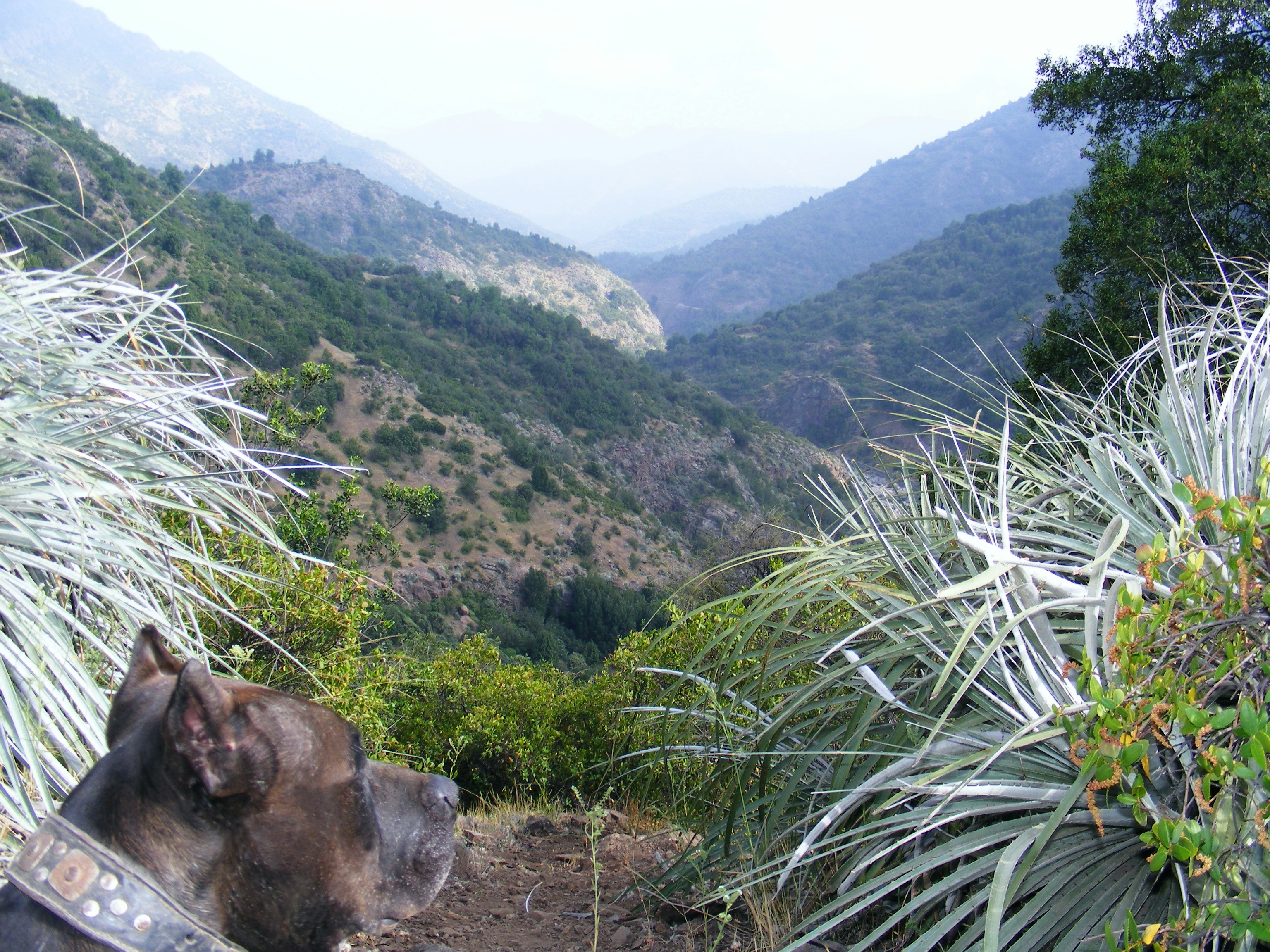 Free Unsplash photo from Guala Drake