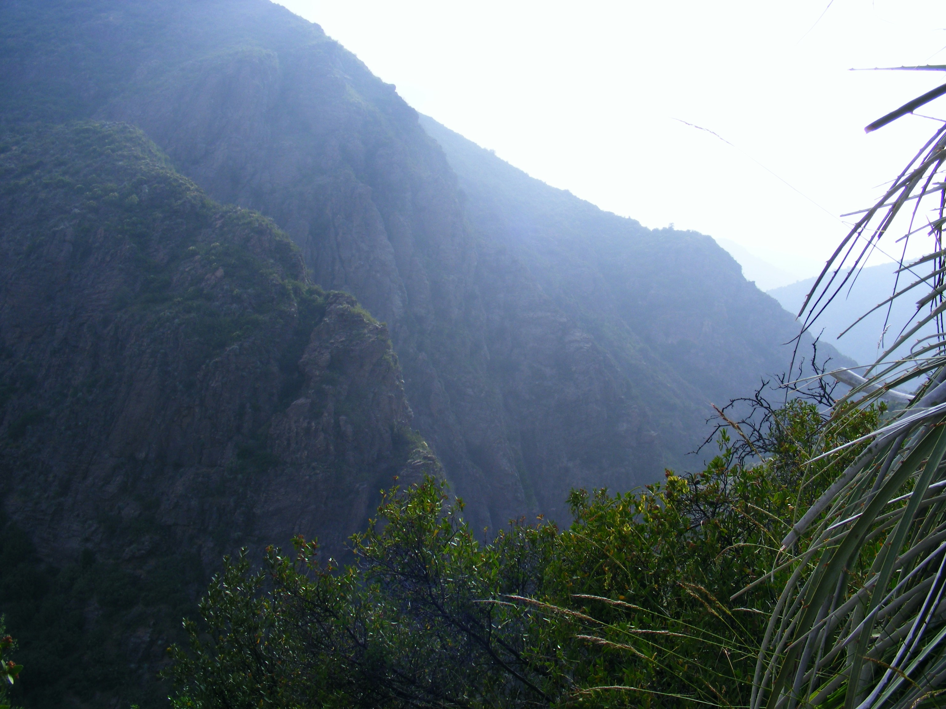 Free Unsplash photo from Guala Drake