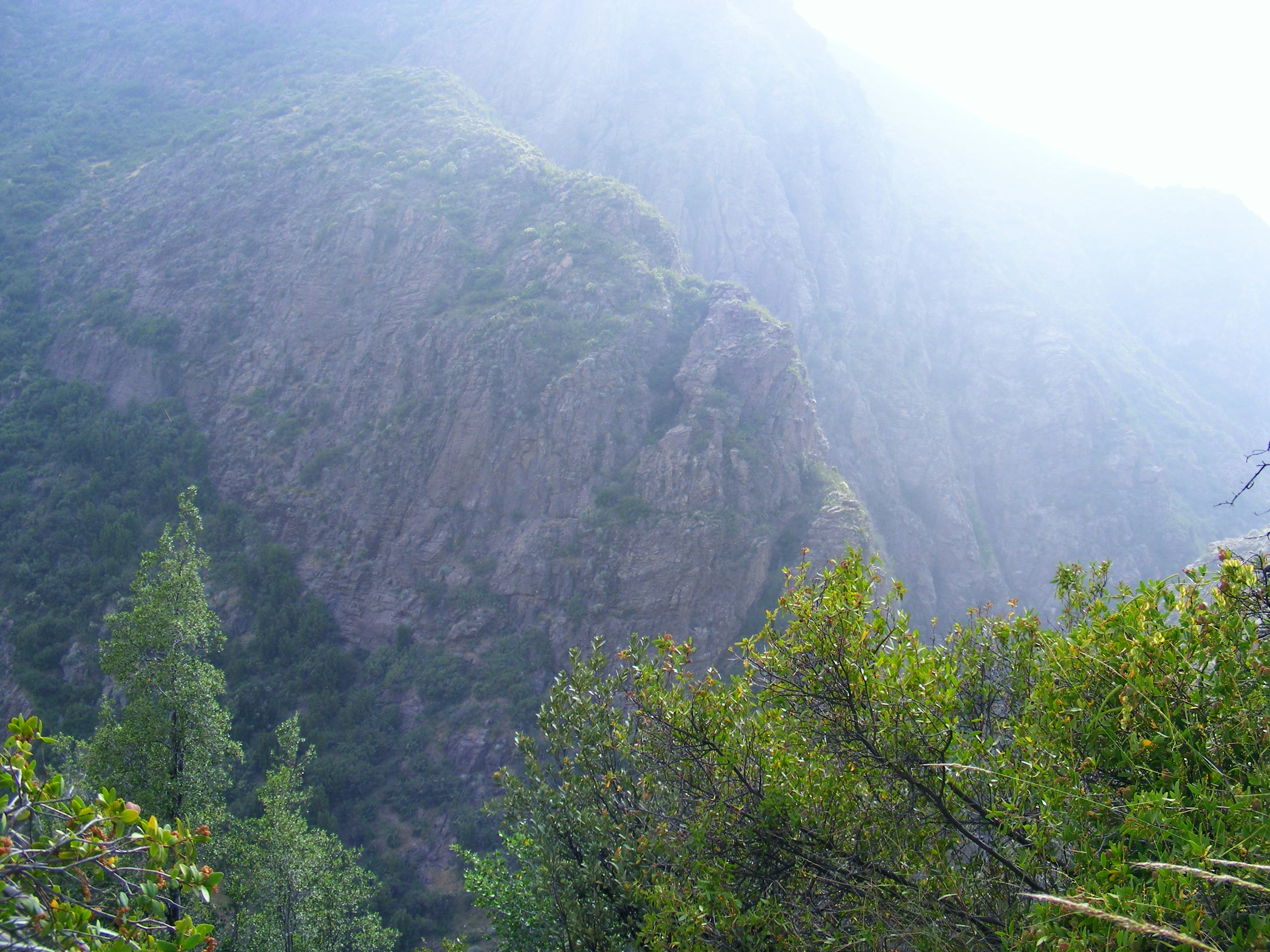 Free Unsplash photo from Guala Drake