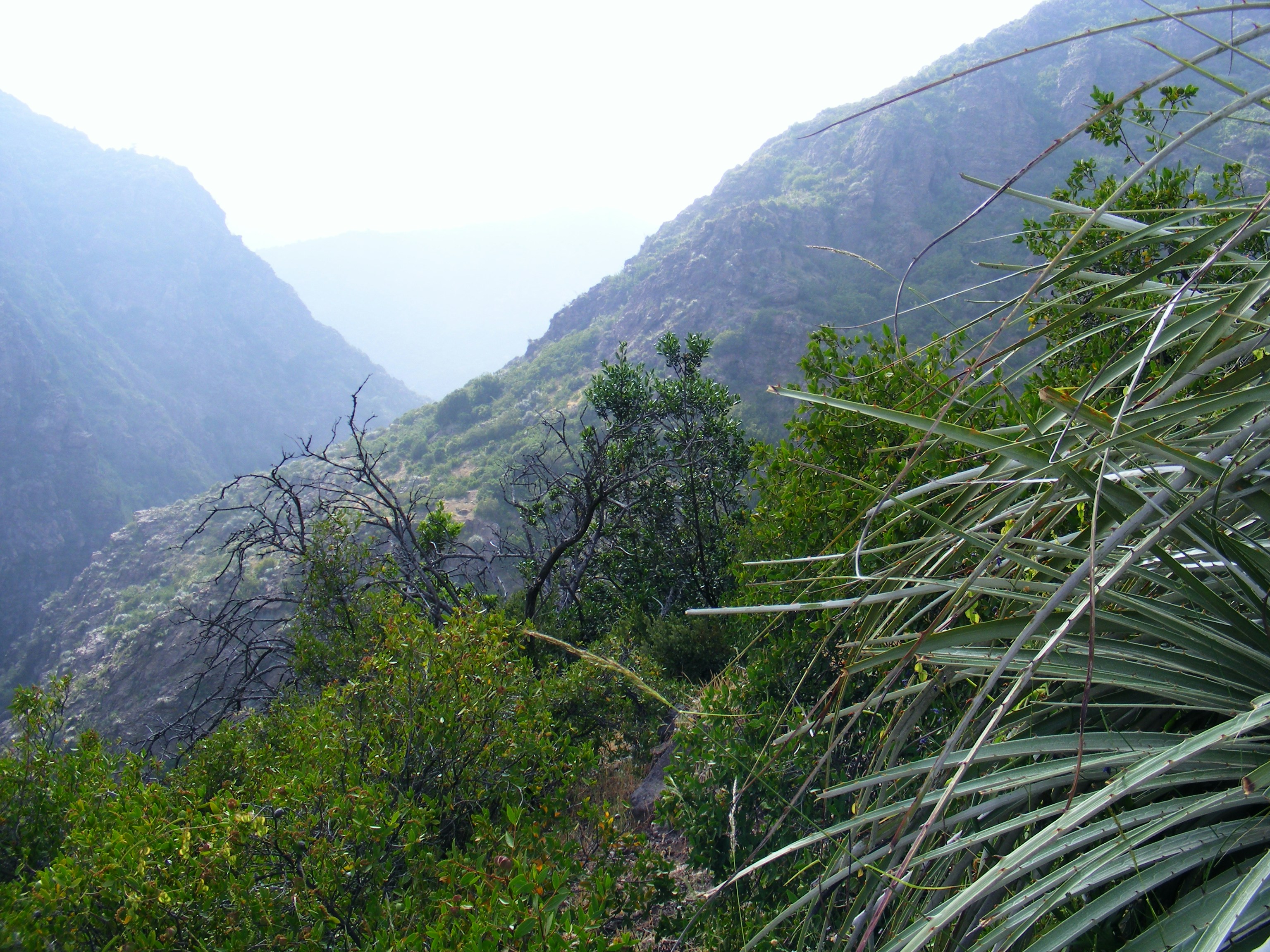 Free Unsplash photo from Guala Drake