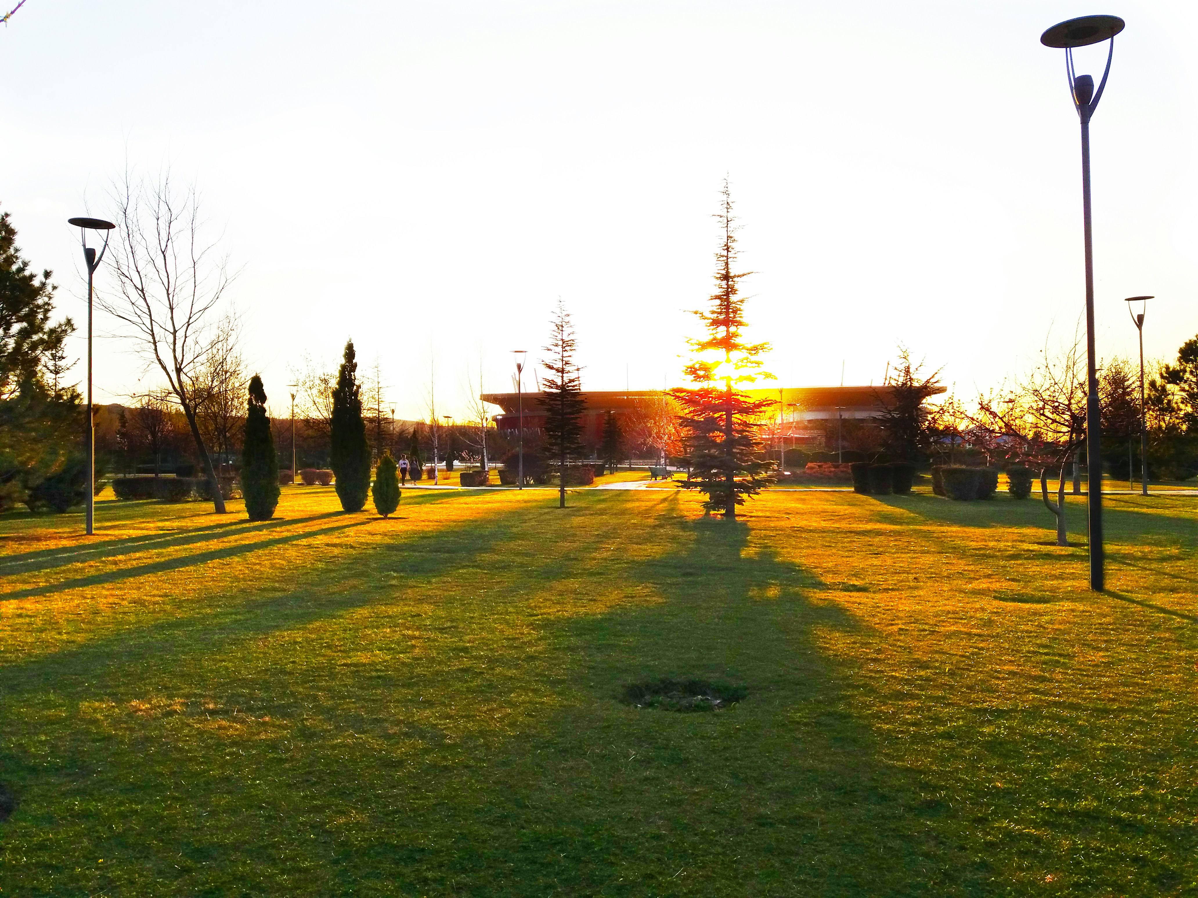 Free Unsplash photo from Amecit AKBAŞ