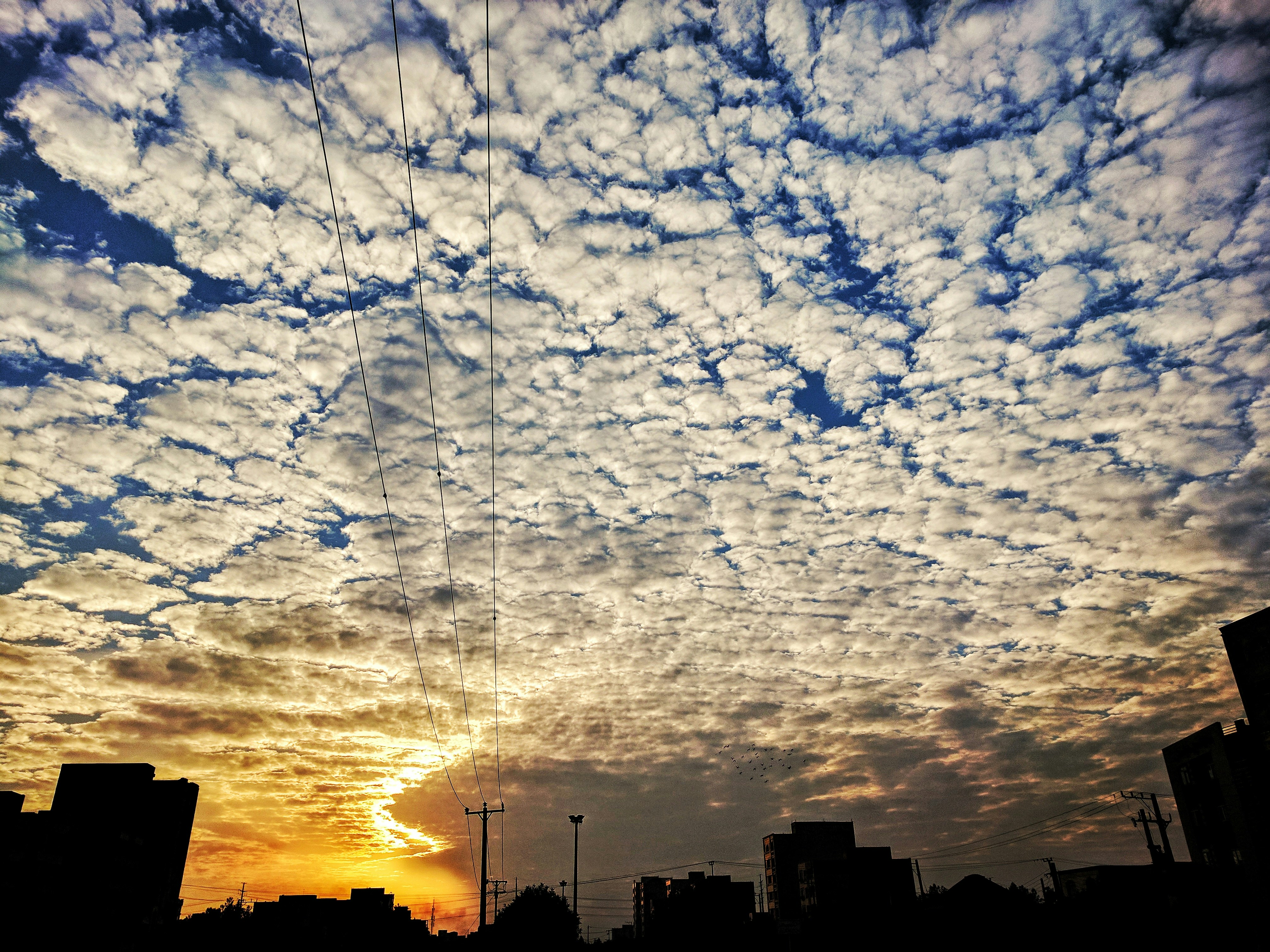 Free Unsplash photo from Mojtaba Saeidi