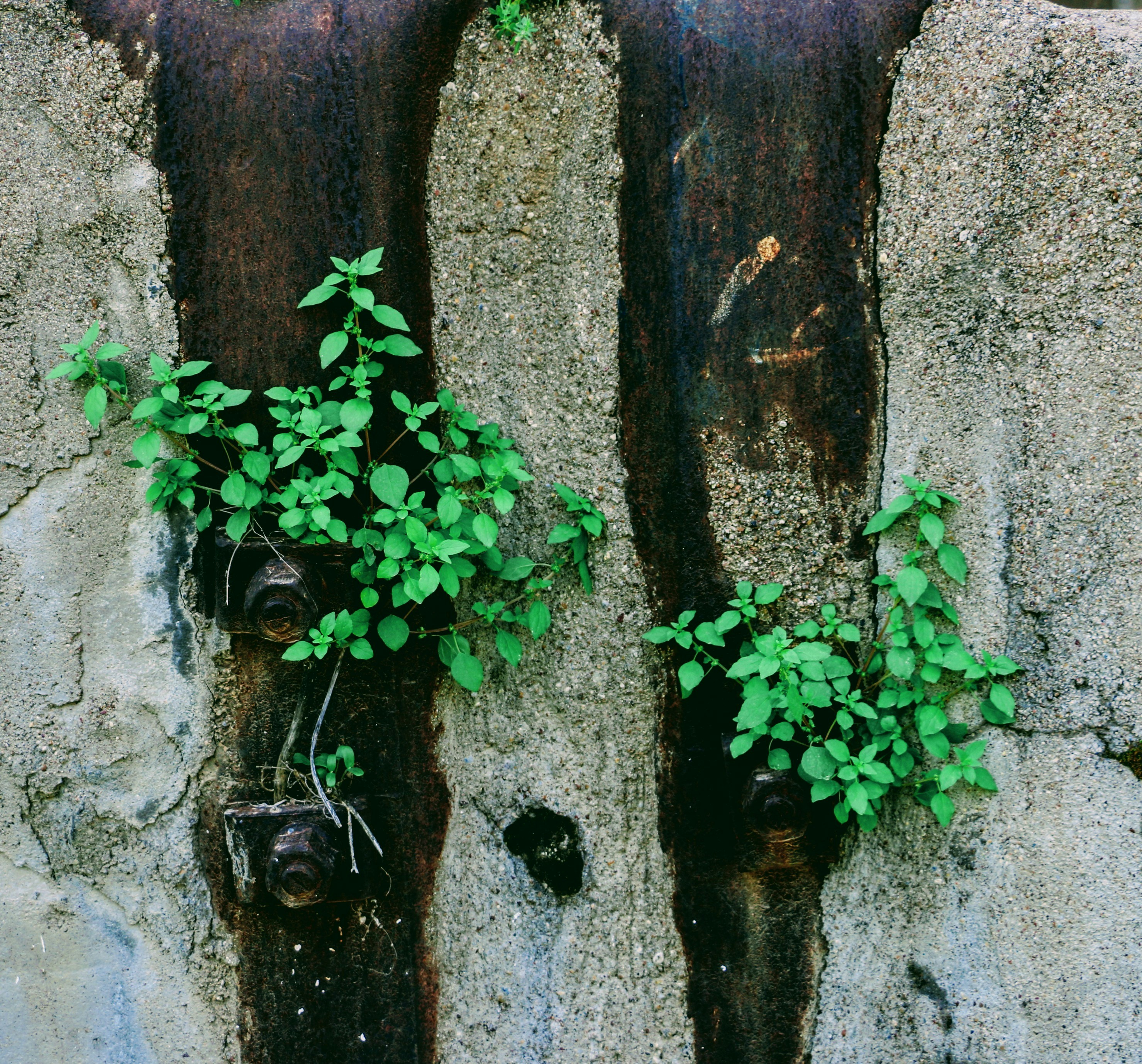 Free Unsplash photo from Mojtaba Saeidi