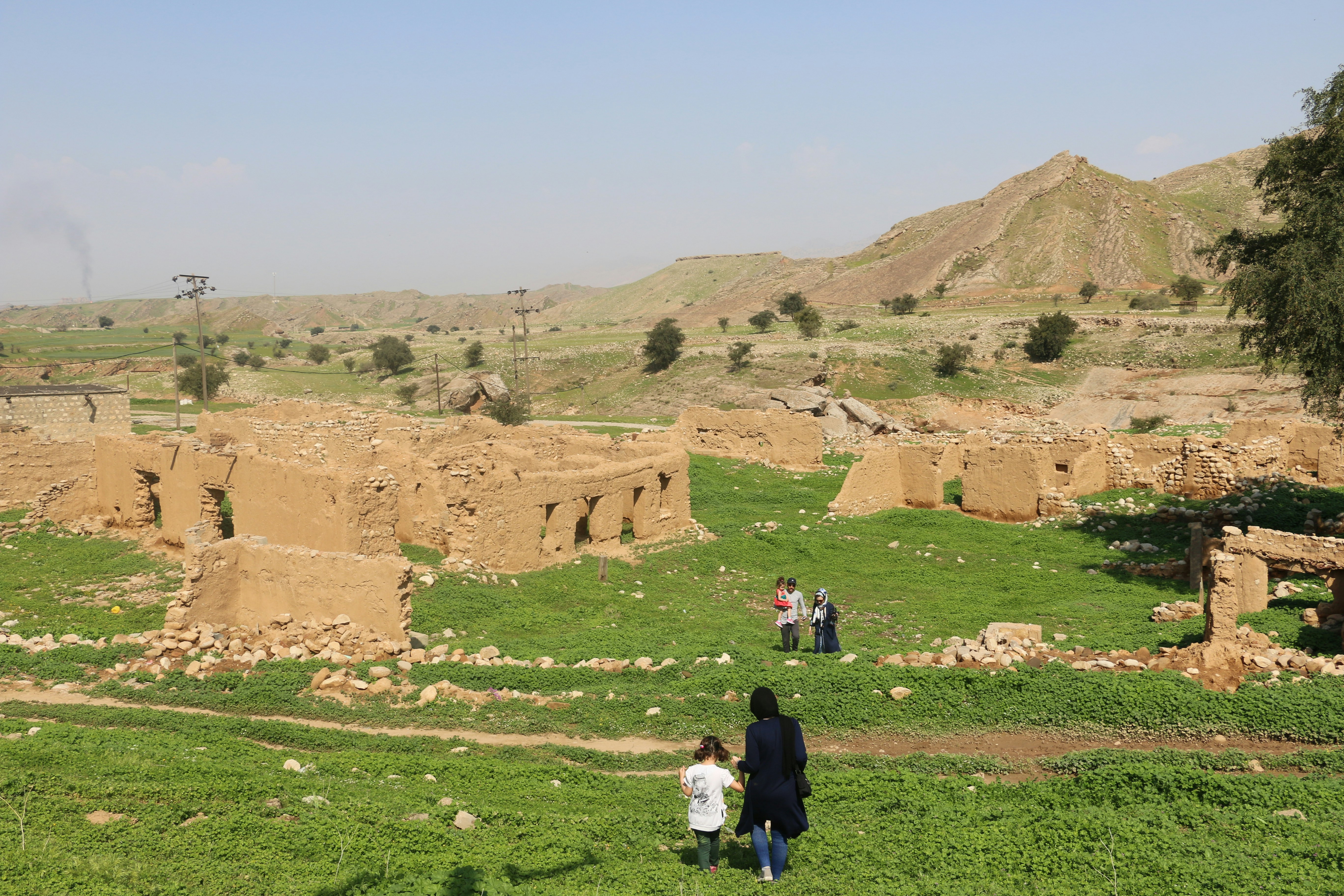 Free Unsplash photo from Mojtaba Saeidi