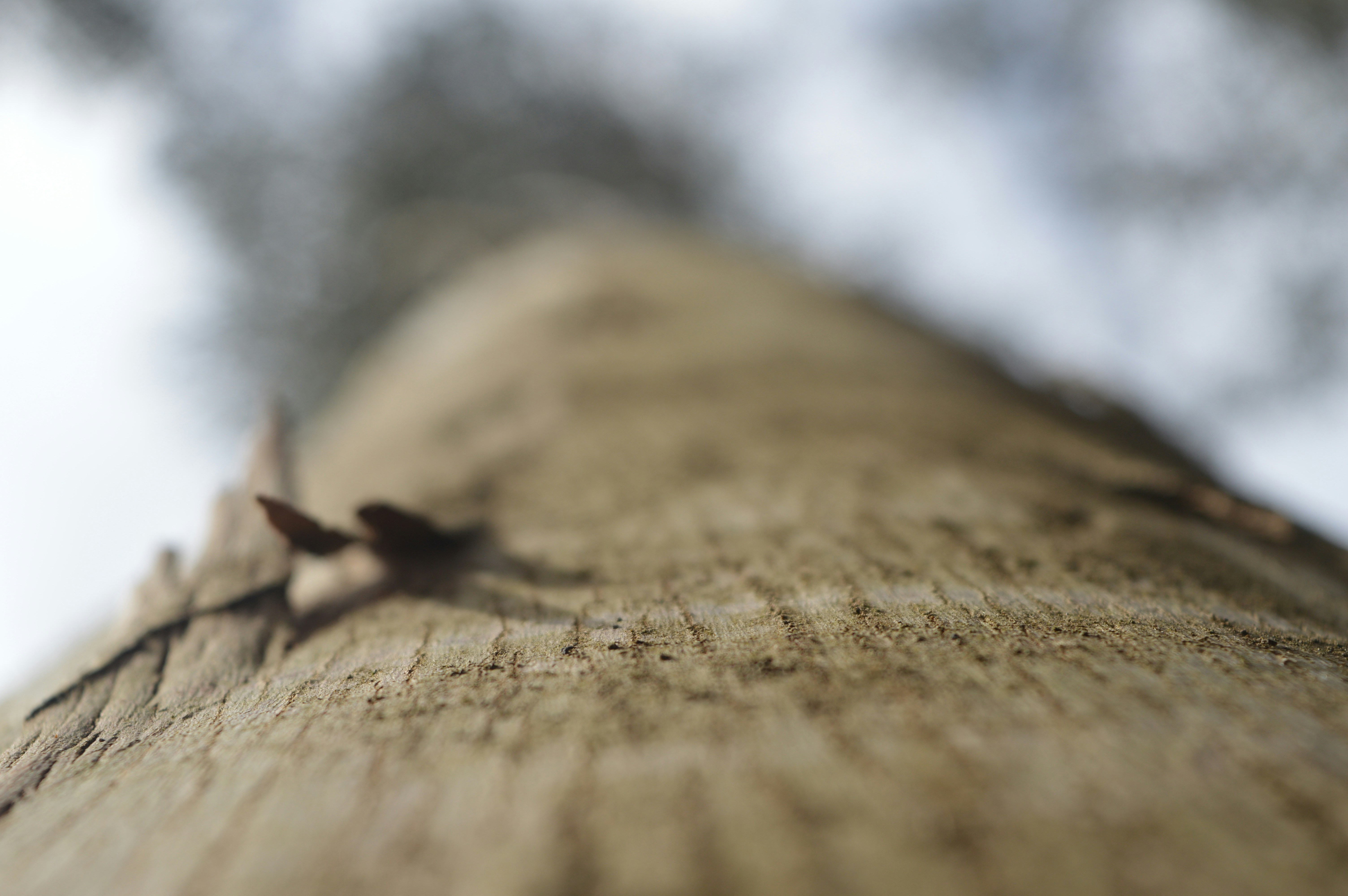 Free Unsplash photo from Gabriel Izgi