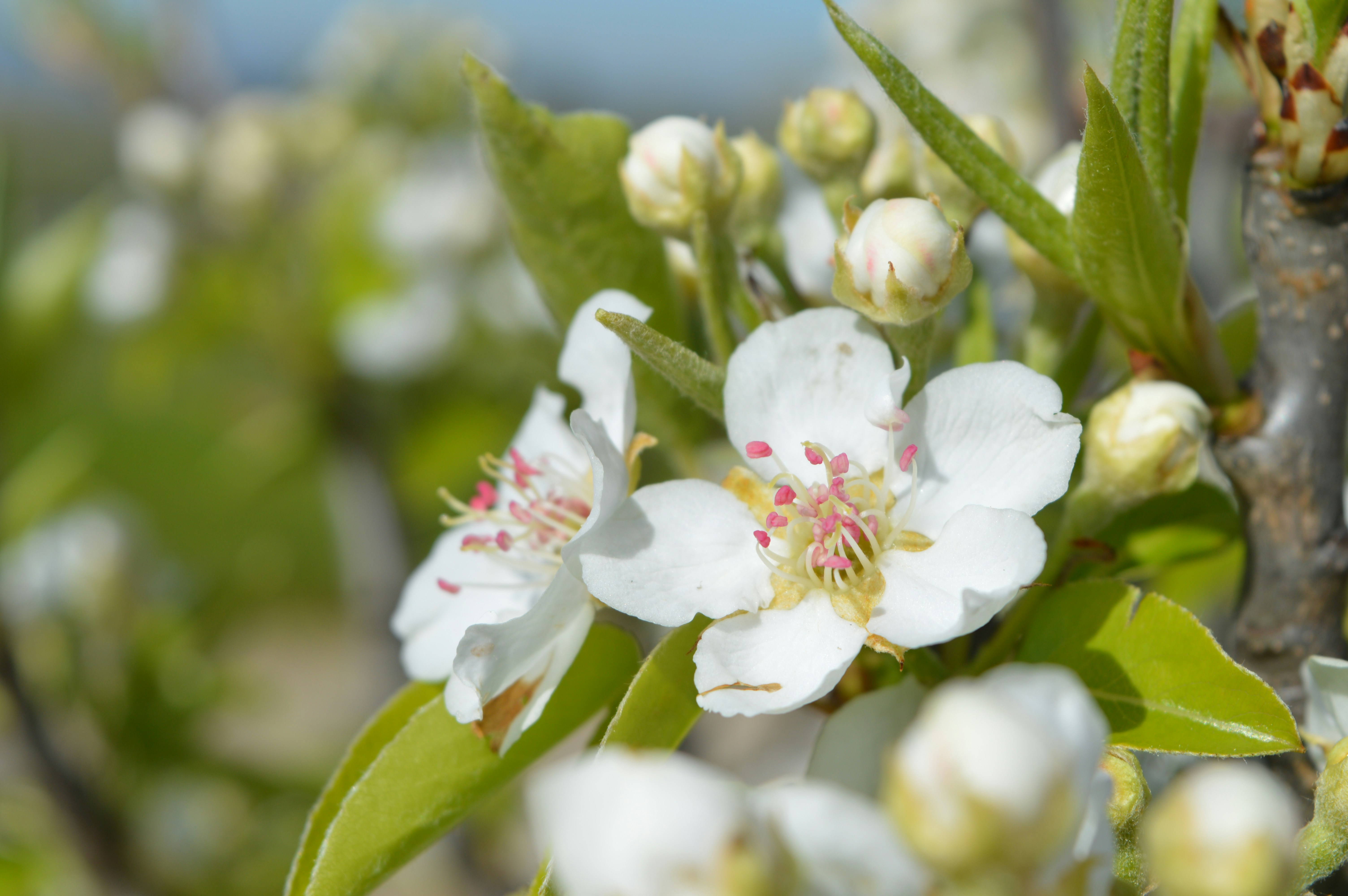 Free Unsplash photo from Gabriel Izgi