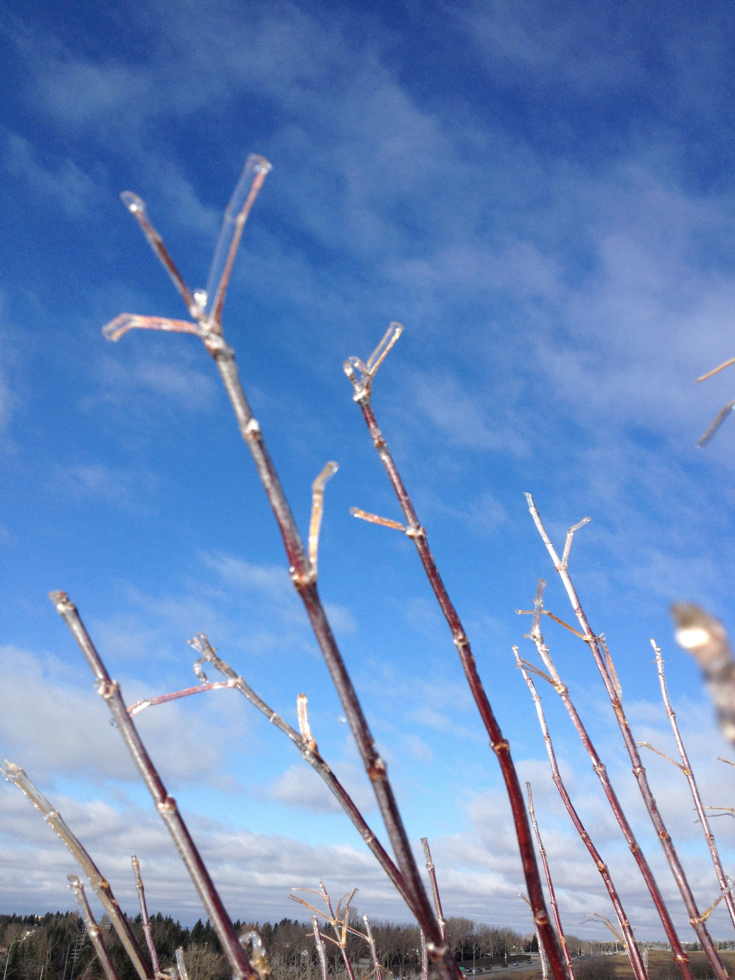 Free Unsplash photo from sandra villegas