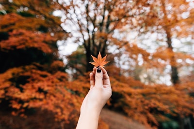 Seasonal autumn nail design with warm oranges and leaf motifs.