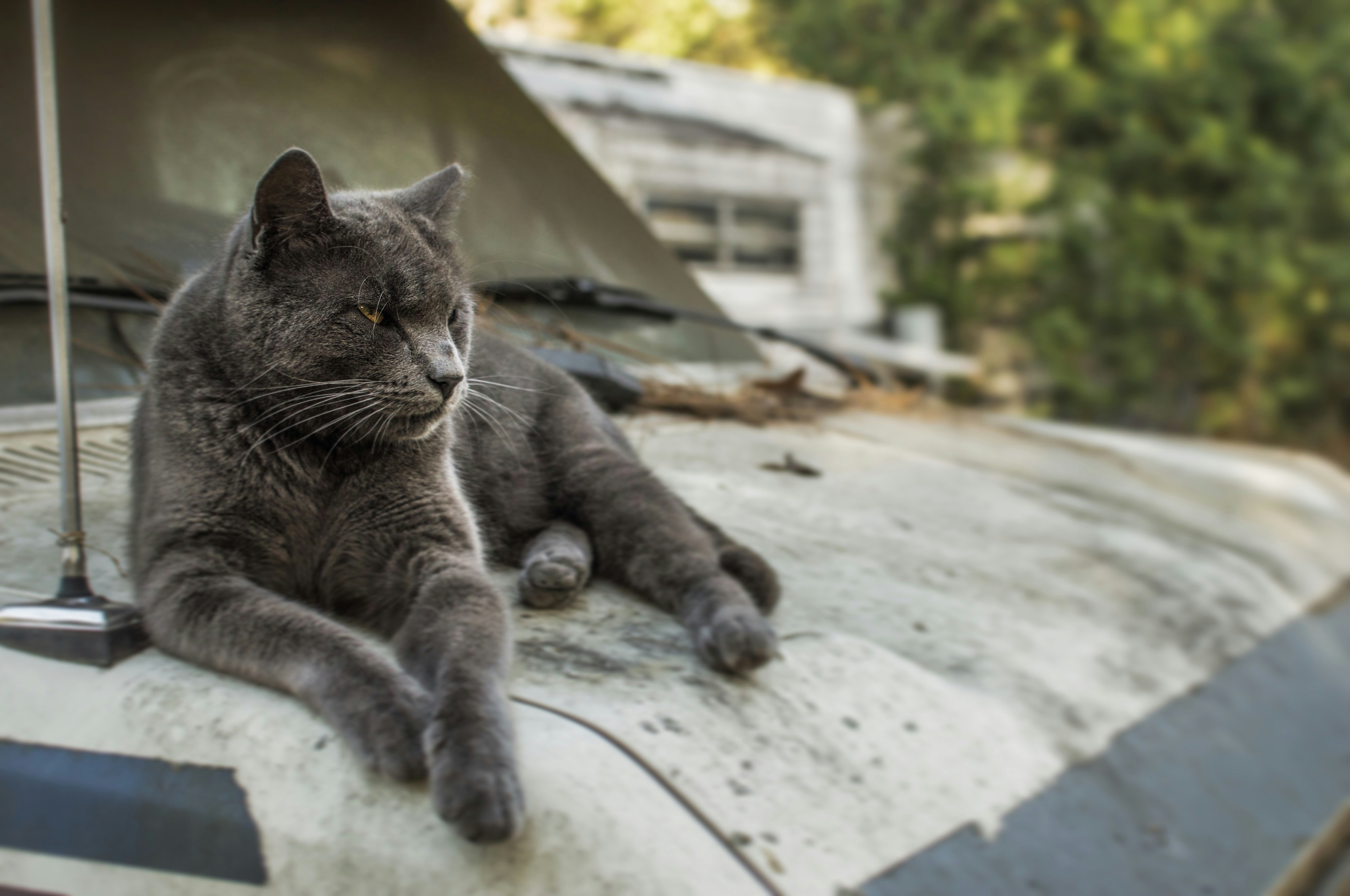 Free Unsplash photo from Sierra Boudreau