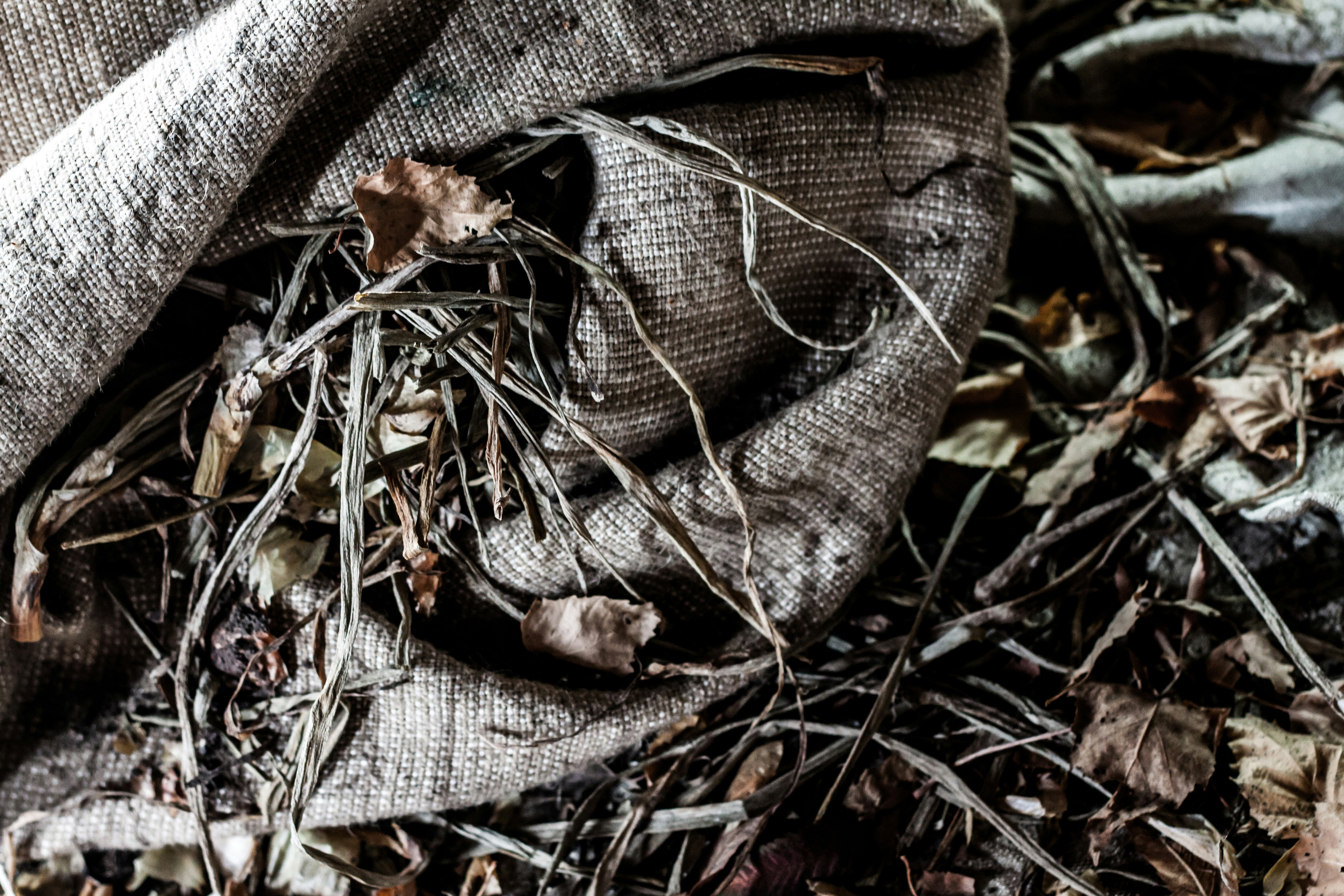 Cocopeat Premium Alami