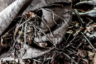 Close-up of vibrant pulses spilling from a rustic burlap sack on a wooden table.