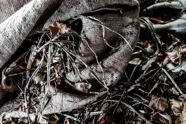 Close-up of vibrant pulses spilling from a rustic burlap sack on a wooden table.