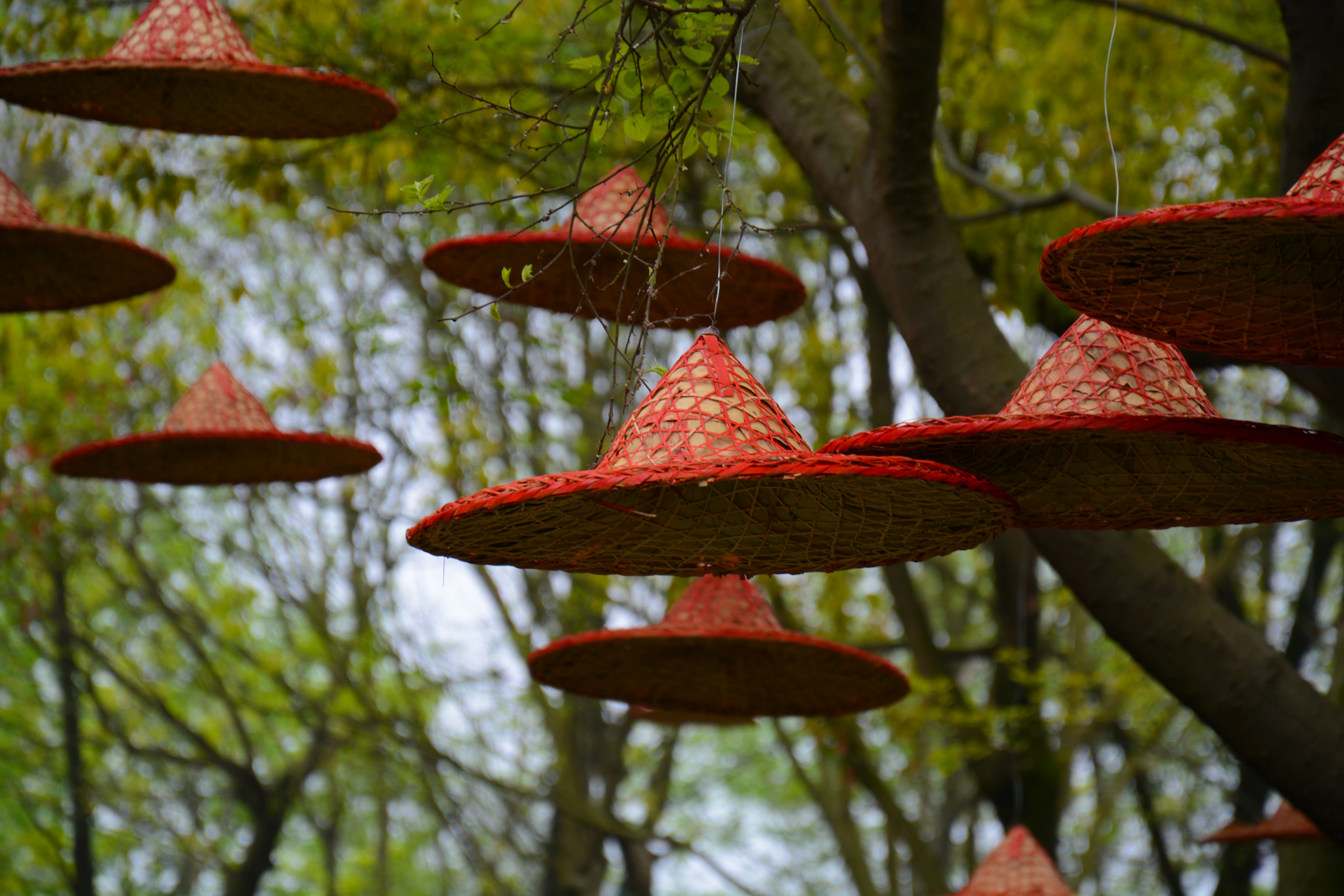 Free Unsplash photo from awmleer