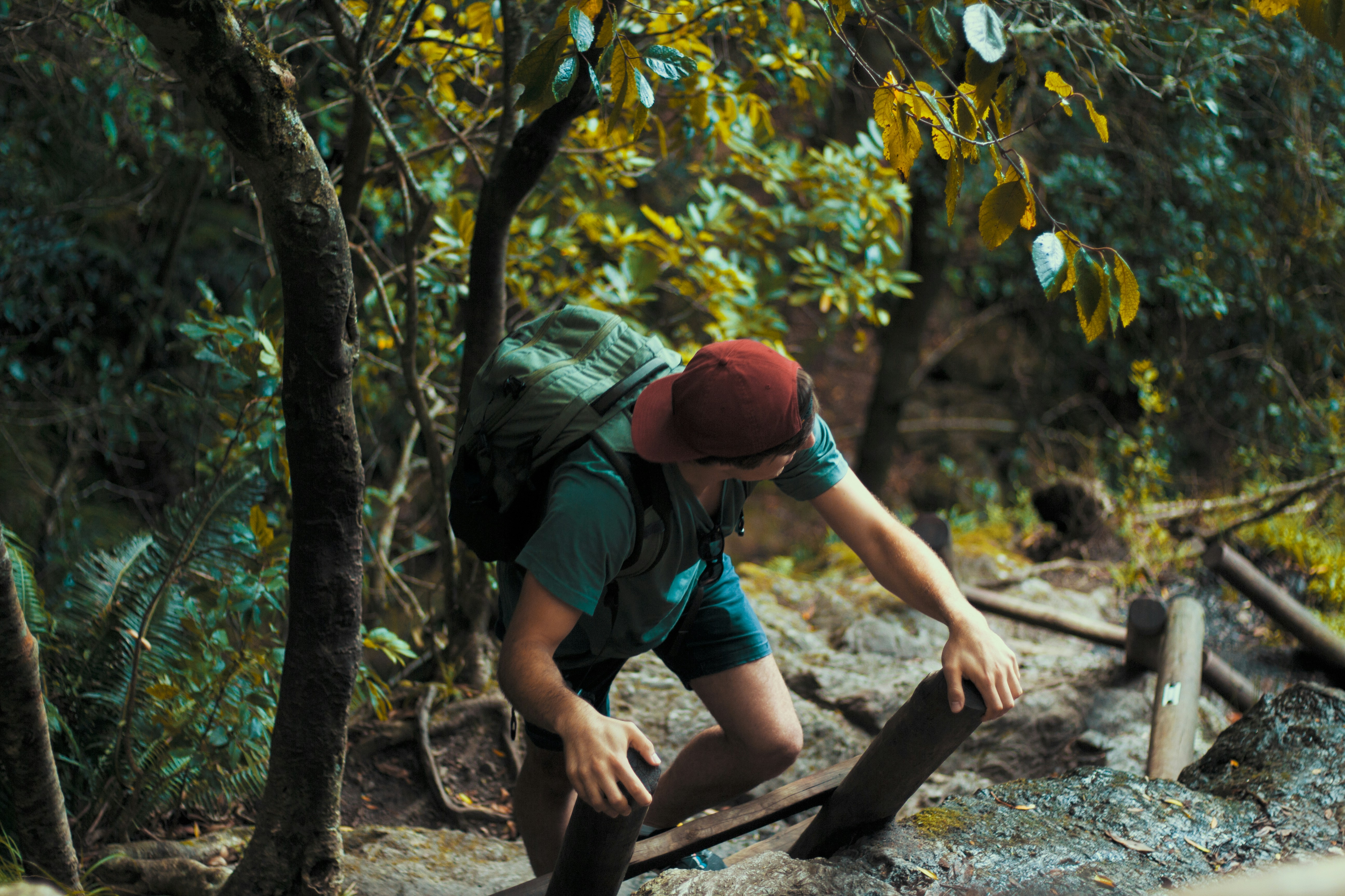 Free Unsplash photo from Jaco Pretorius