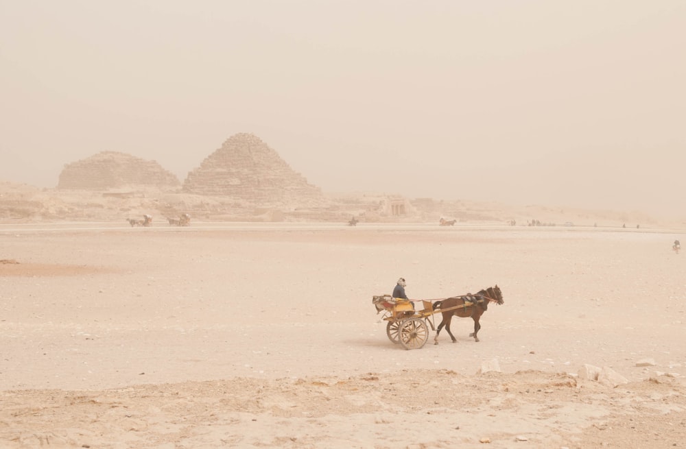 茶色のピラミッドの近くに茶色の馬を乗せた茶色の馬車に乗った男