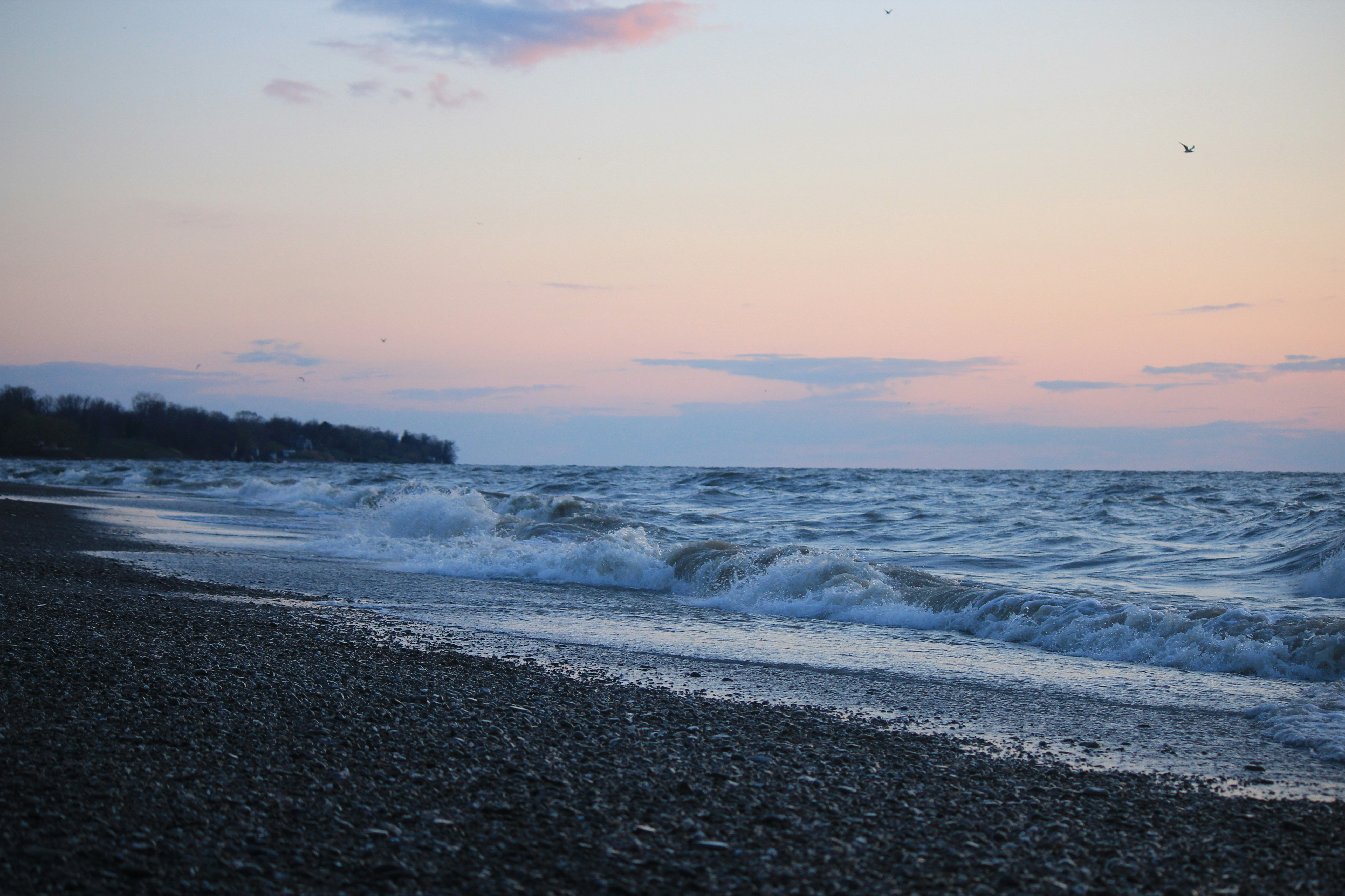 Free Unsplash photo from Nate Hobi