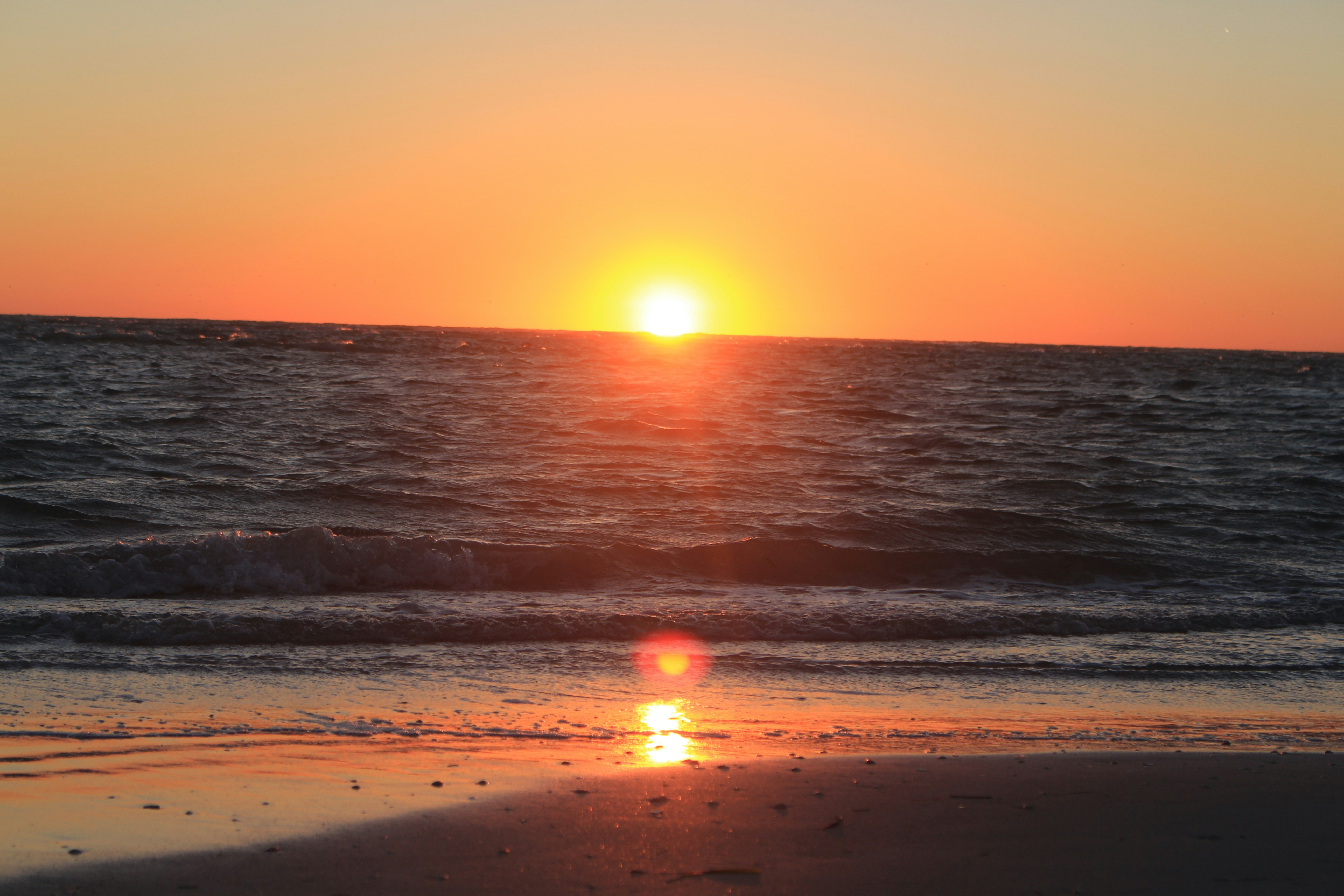 Free Unsplash photo from mia dong