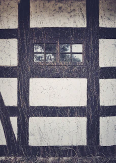 Close-up of expertly installed timber framing with a warm natural finish.
