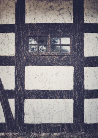Close-up of expertly installed timber framing with a warm natural finish.