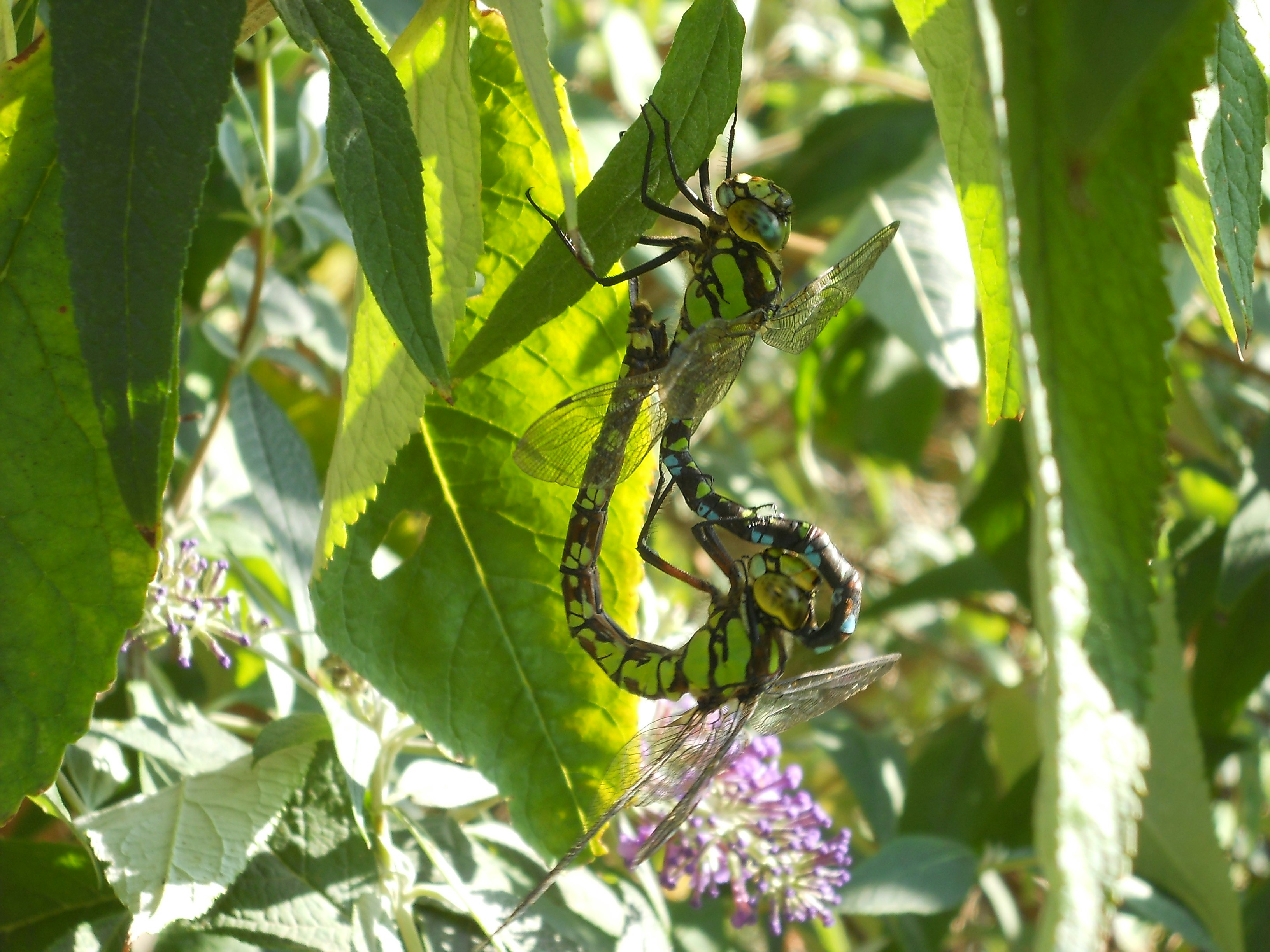 Free Unsplash photo from Jutta Hildebrand