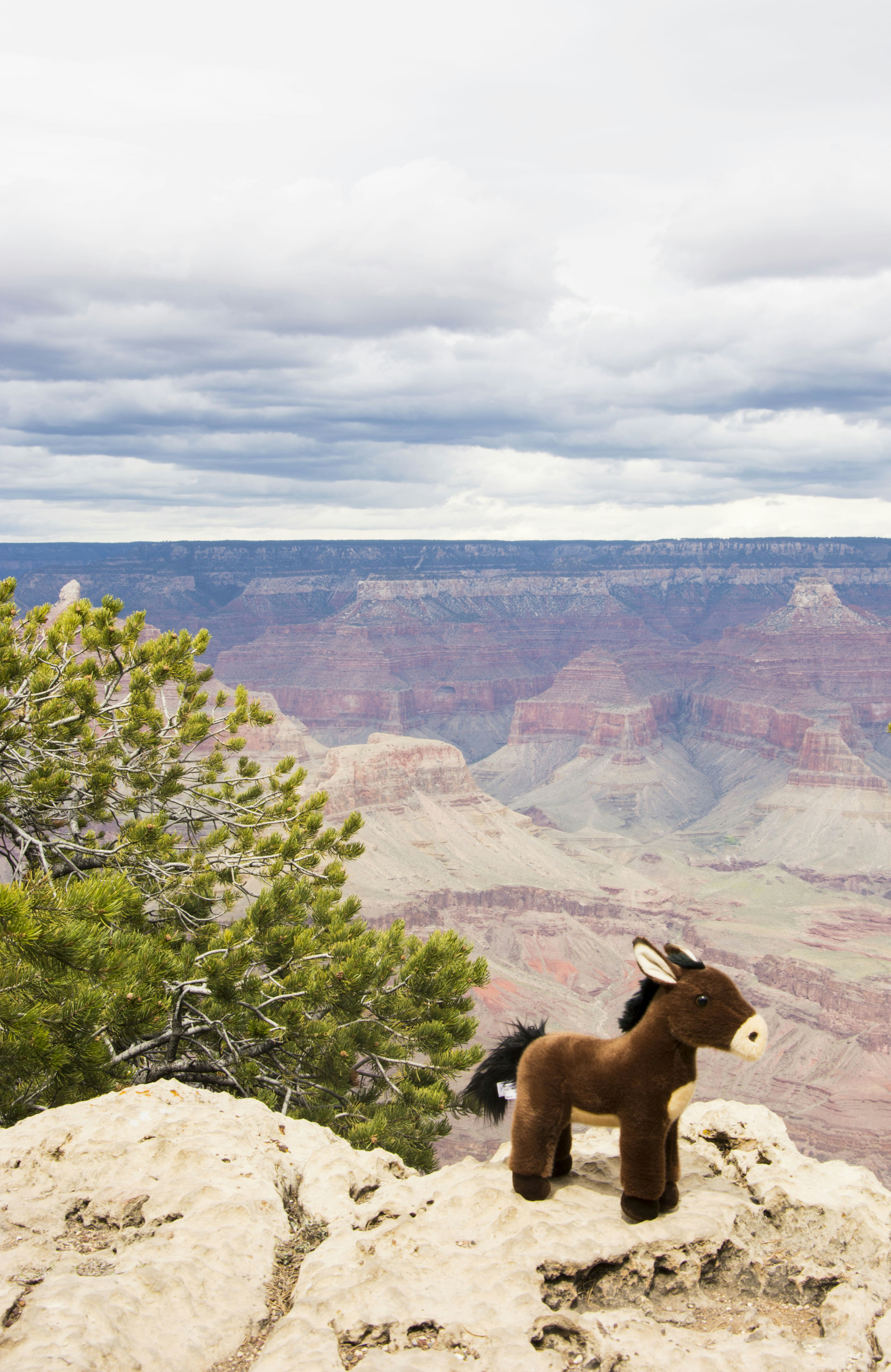 Free Unsplash photo from Jiajing Huang