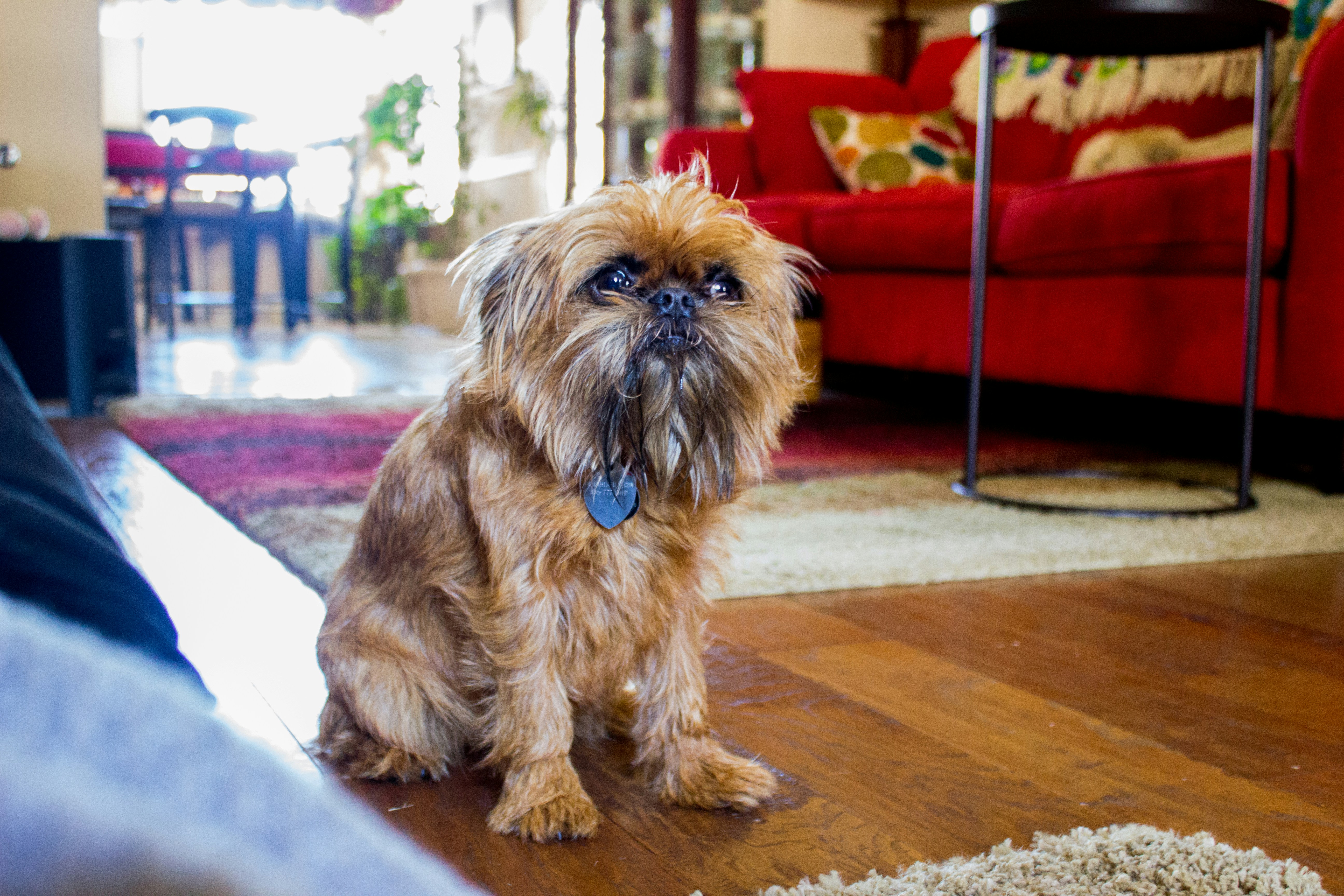 Free Unsplash photo from Ben Schnell