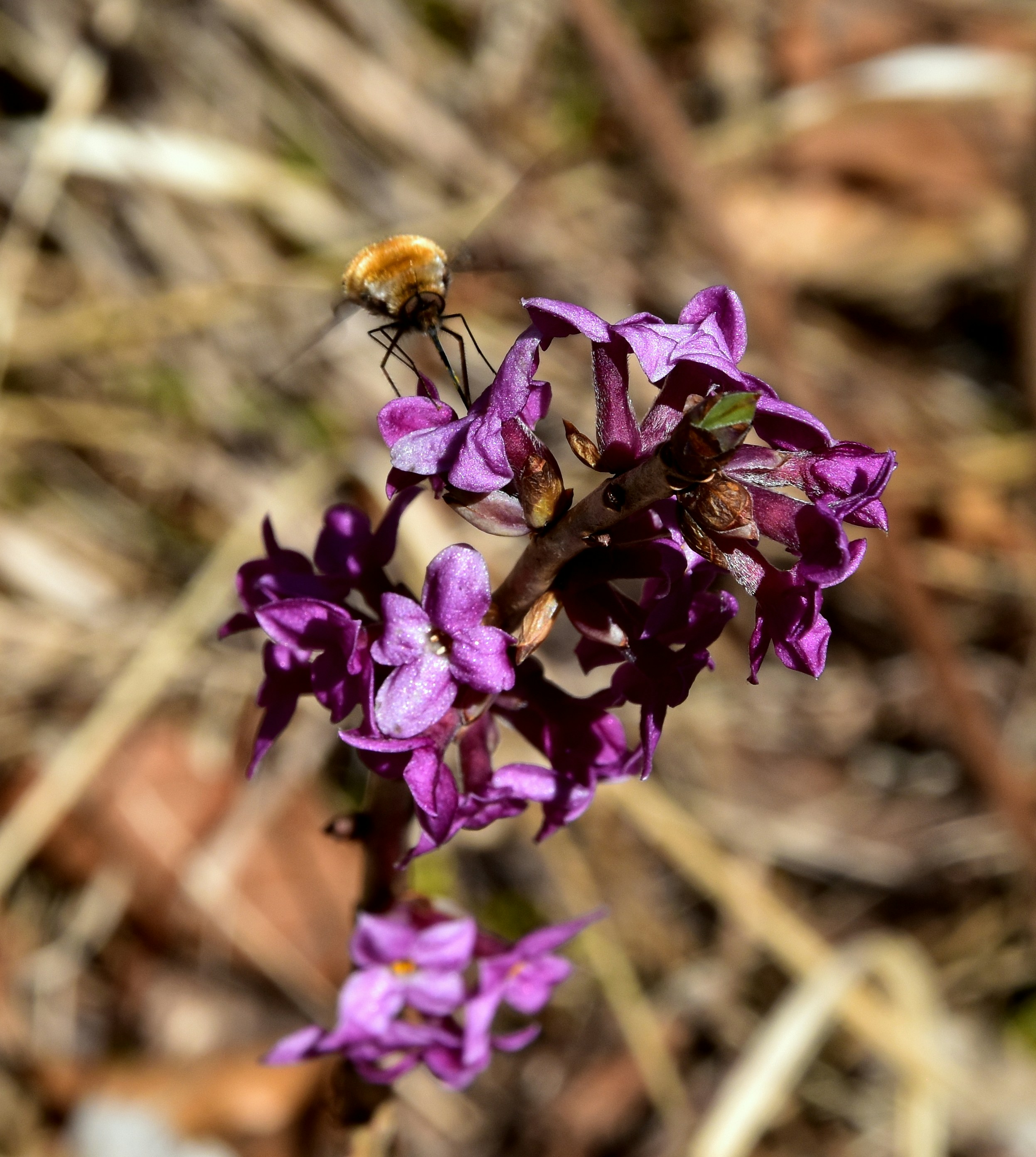 Free Unsplash photo from Medena Rosa