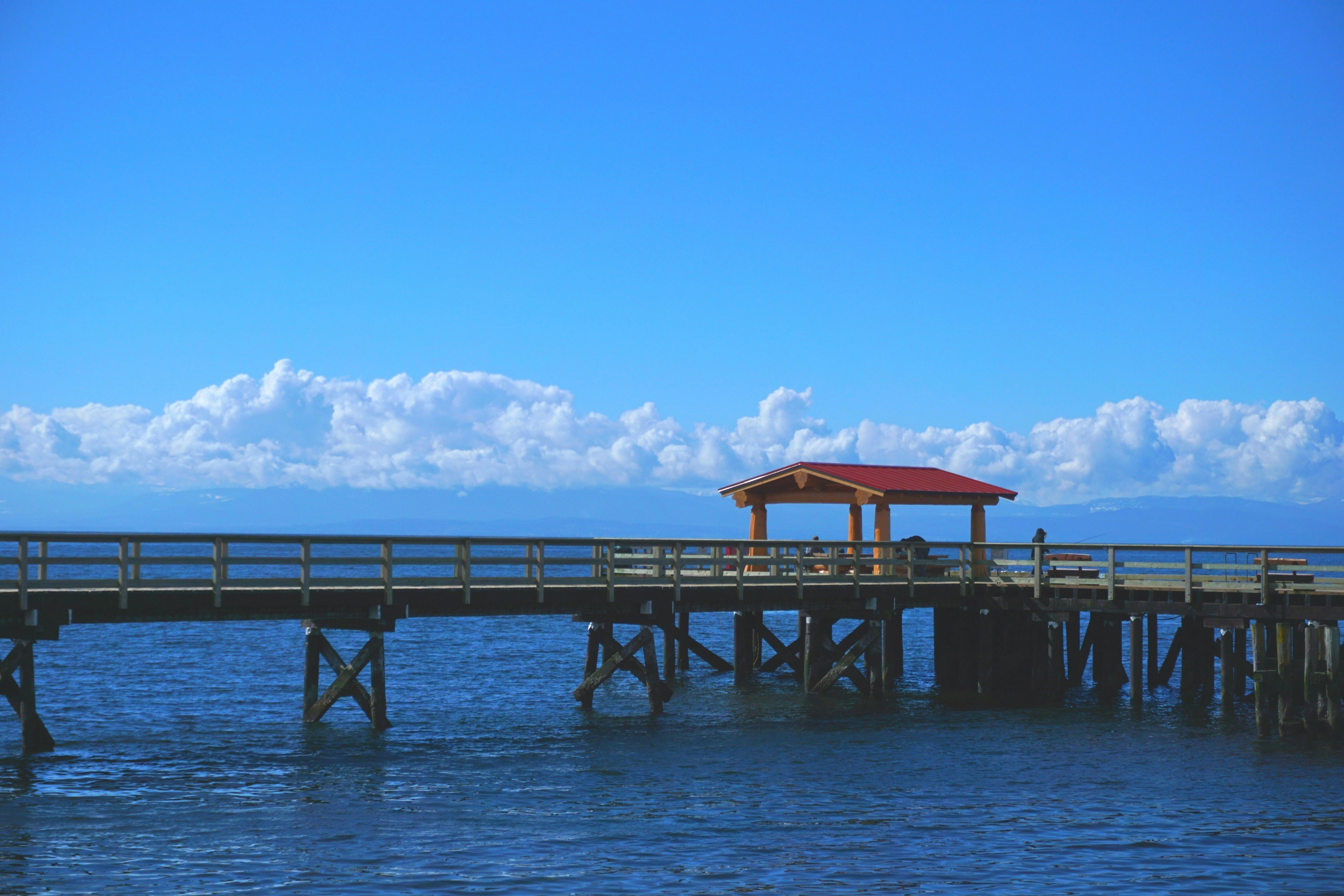 Free Unsplash photo from Xi Zhang