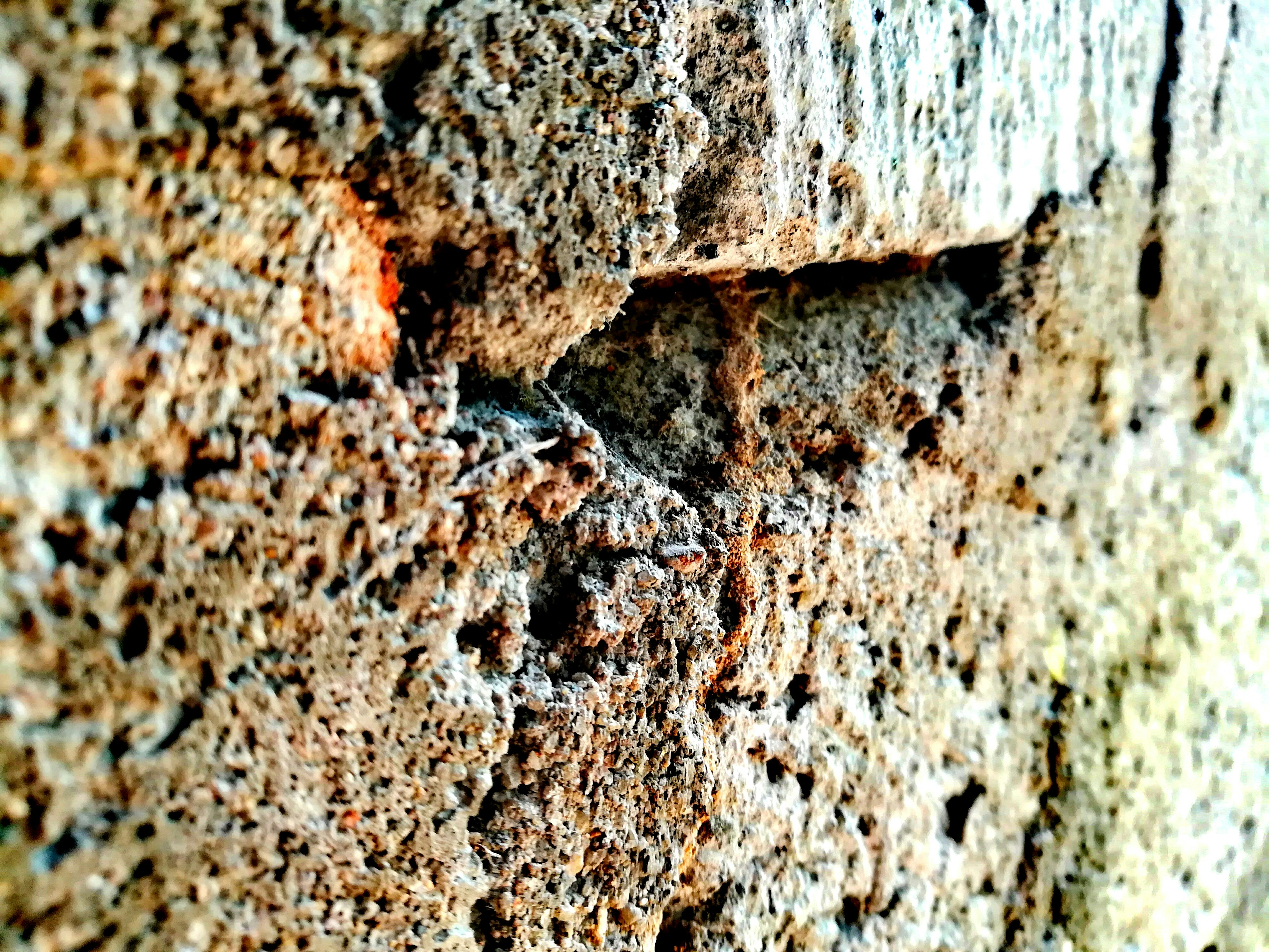 Free Unsplash photo from harintha priyashan