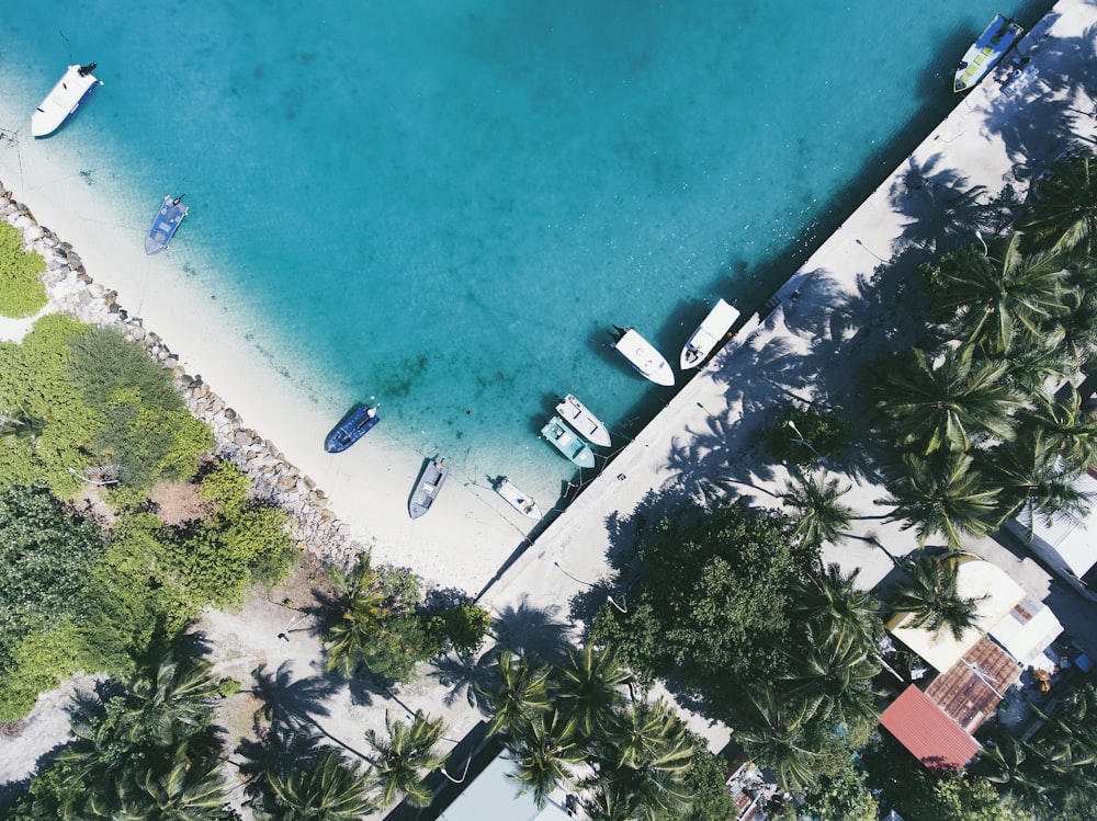 aerial photography of boats docked near shore