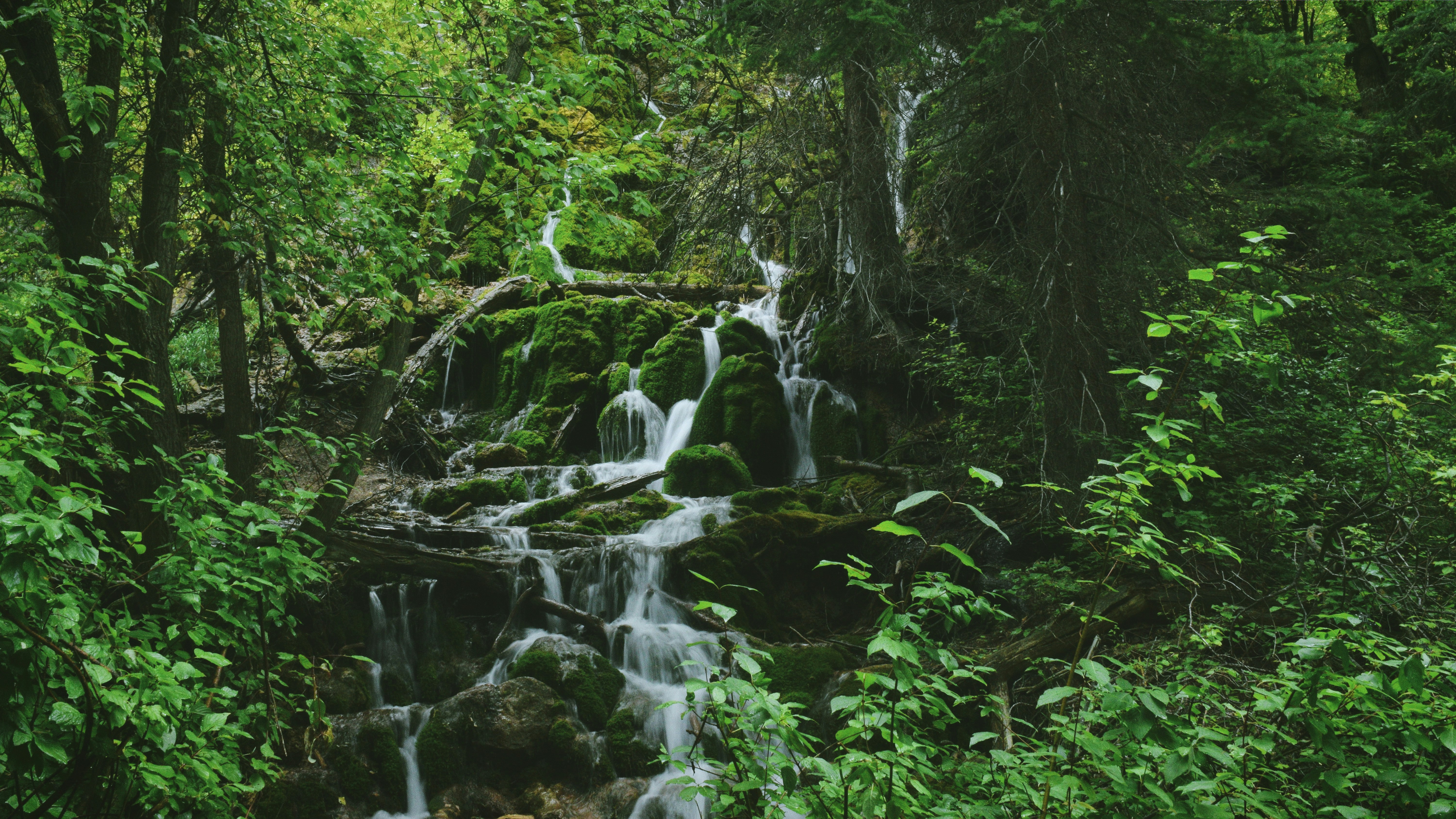 Free Unsplash photo from Thoshith Ravi