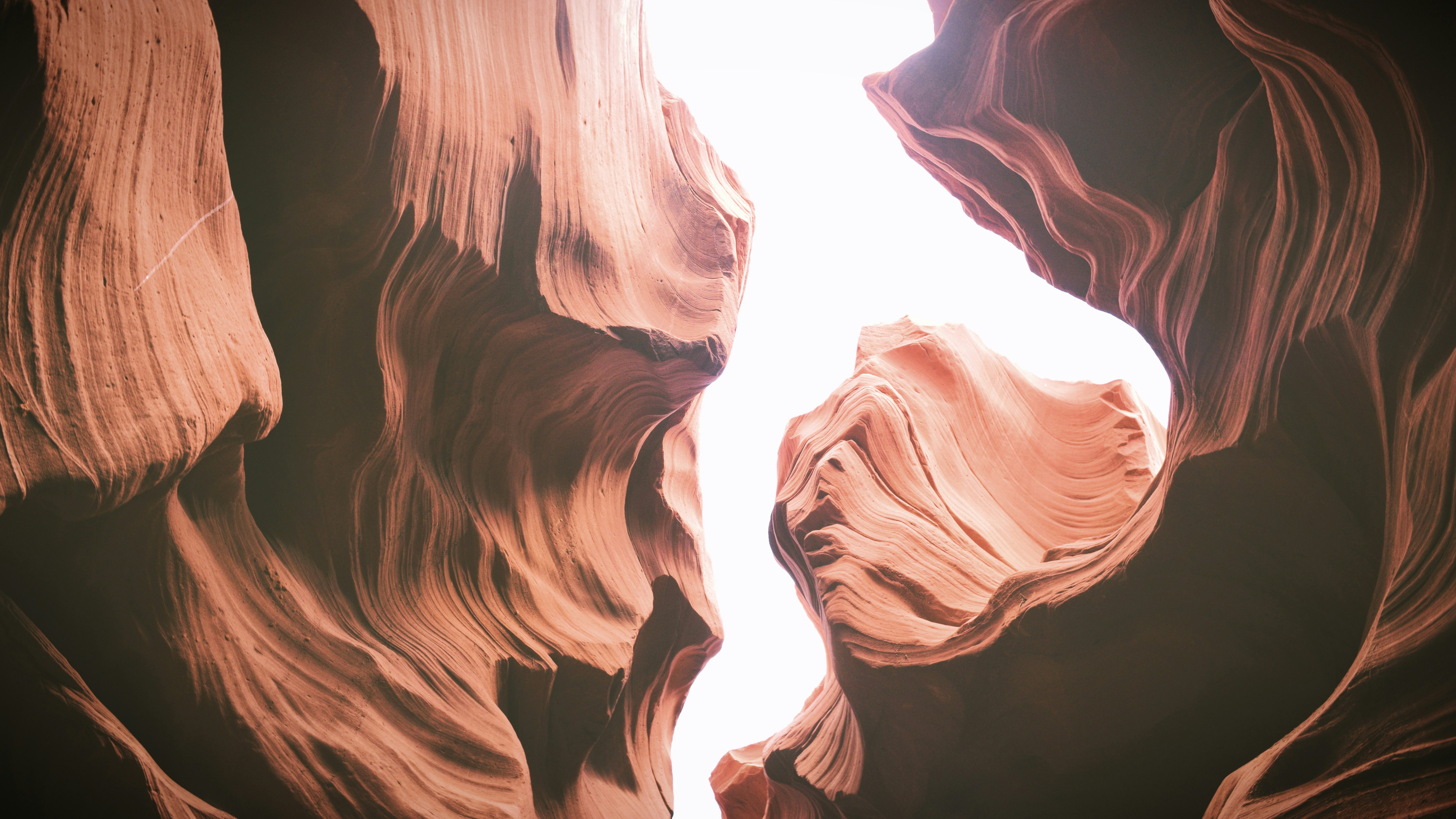 Free Unsplash photo from Thoshith Ravi