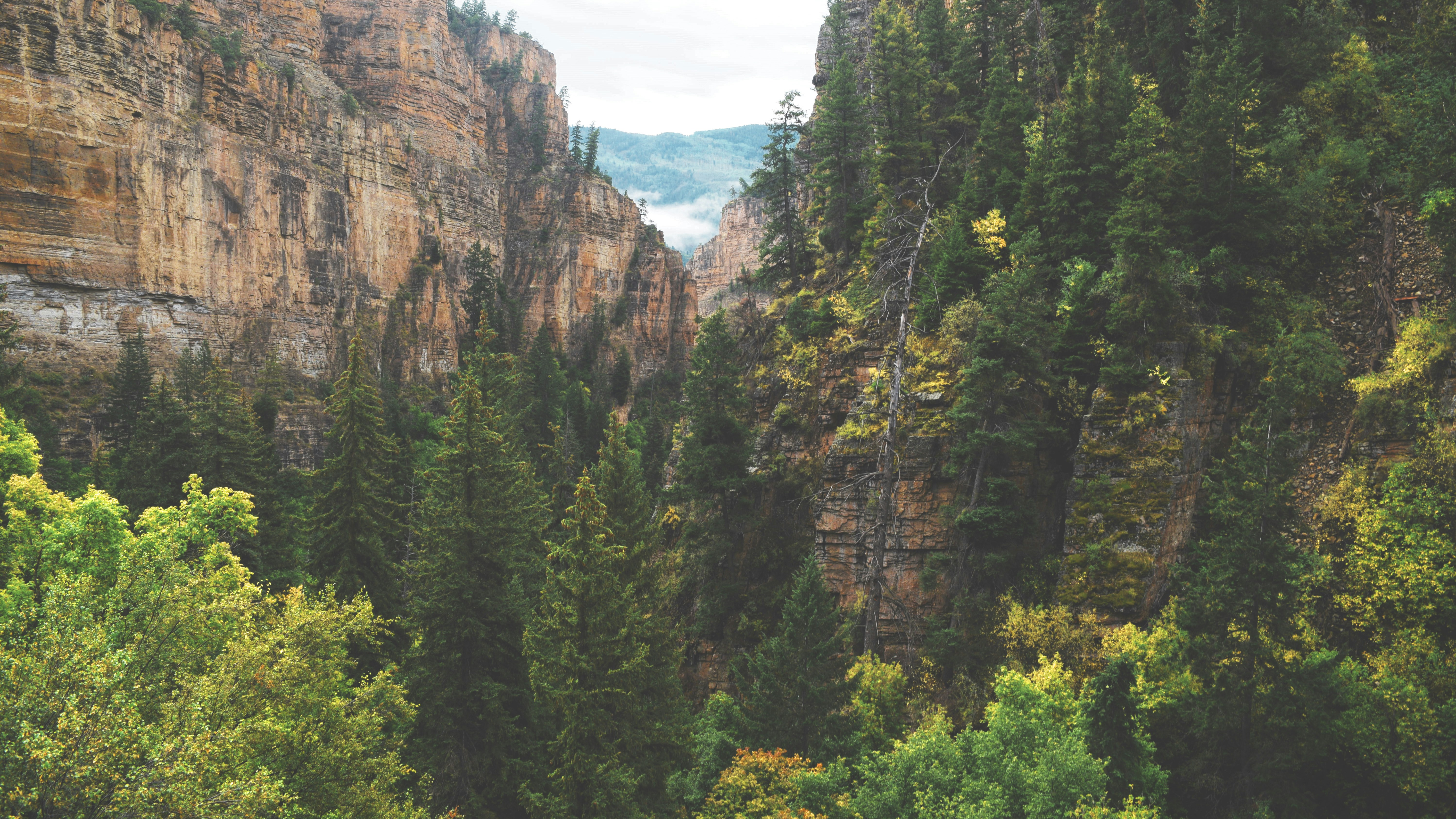 Free Unsplash photo from Thoshith Ravi