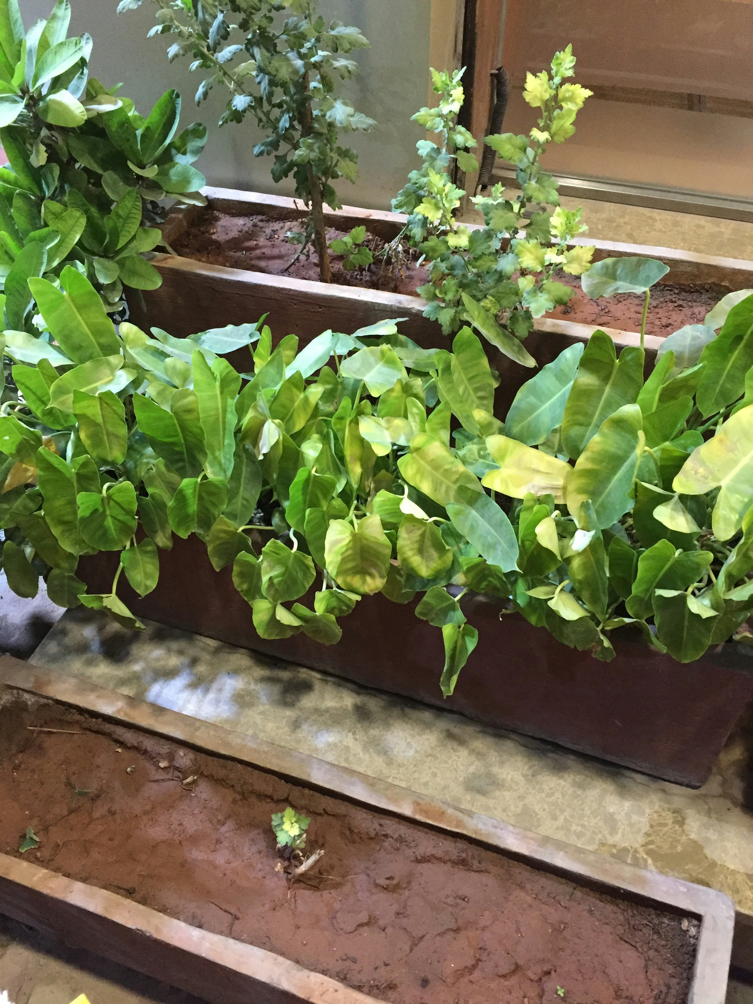 Free Unsplash photo from Isaiyamudhu K