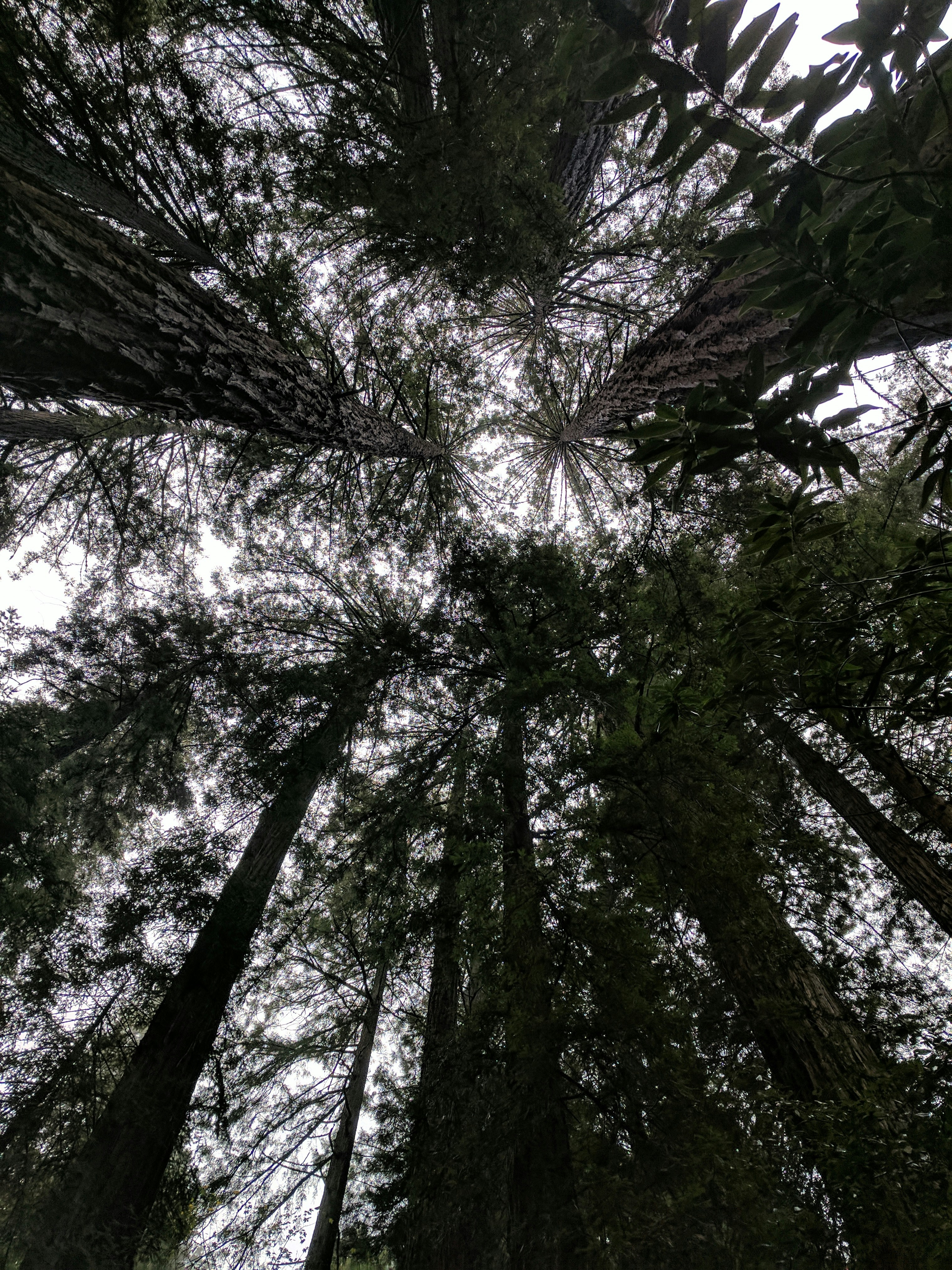 Free Unsplash photo from Greg Egan