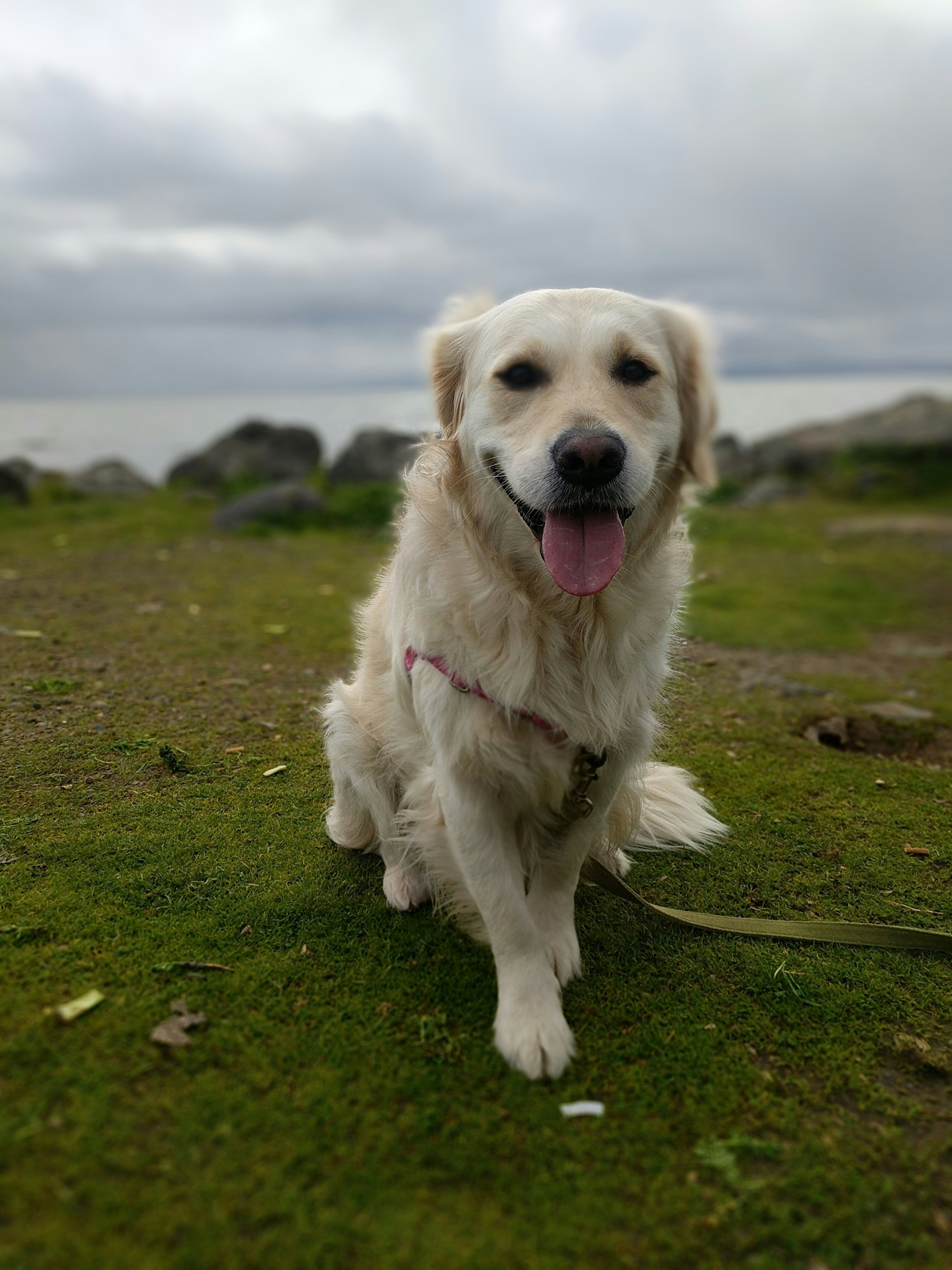 Free Unsplash photo from Greg Egan