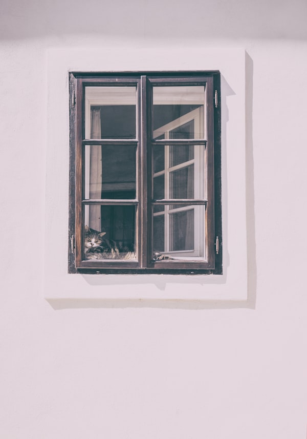 Window and door installation Atlanta GA - photo 5