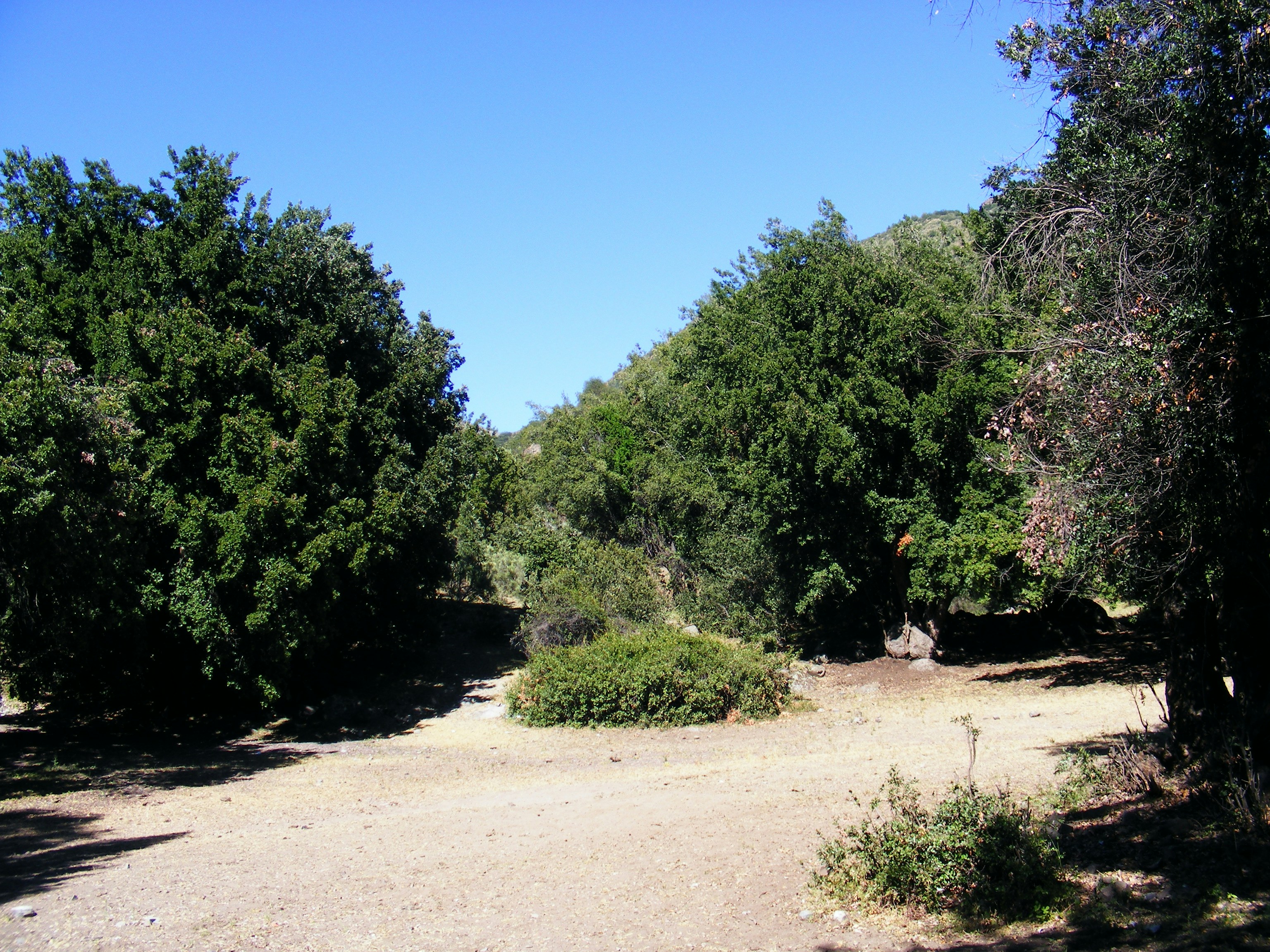 Free Unsplash photo from Guala Drake