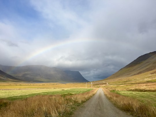 dirt path between brown and green field leading to a rainbow under blue and white cloudy sky in Ísafjarðarbær Iceland