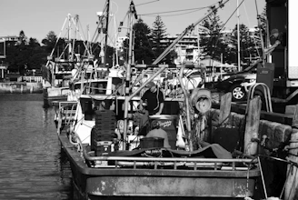 A vintage black-and-white photograph of Passage West harbor bustling with early 20th-century fishing boats.