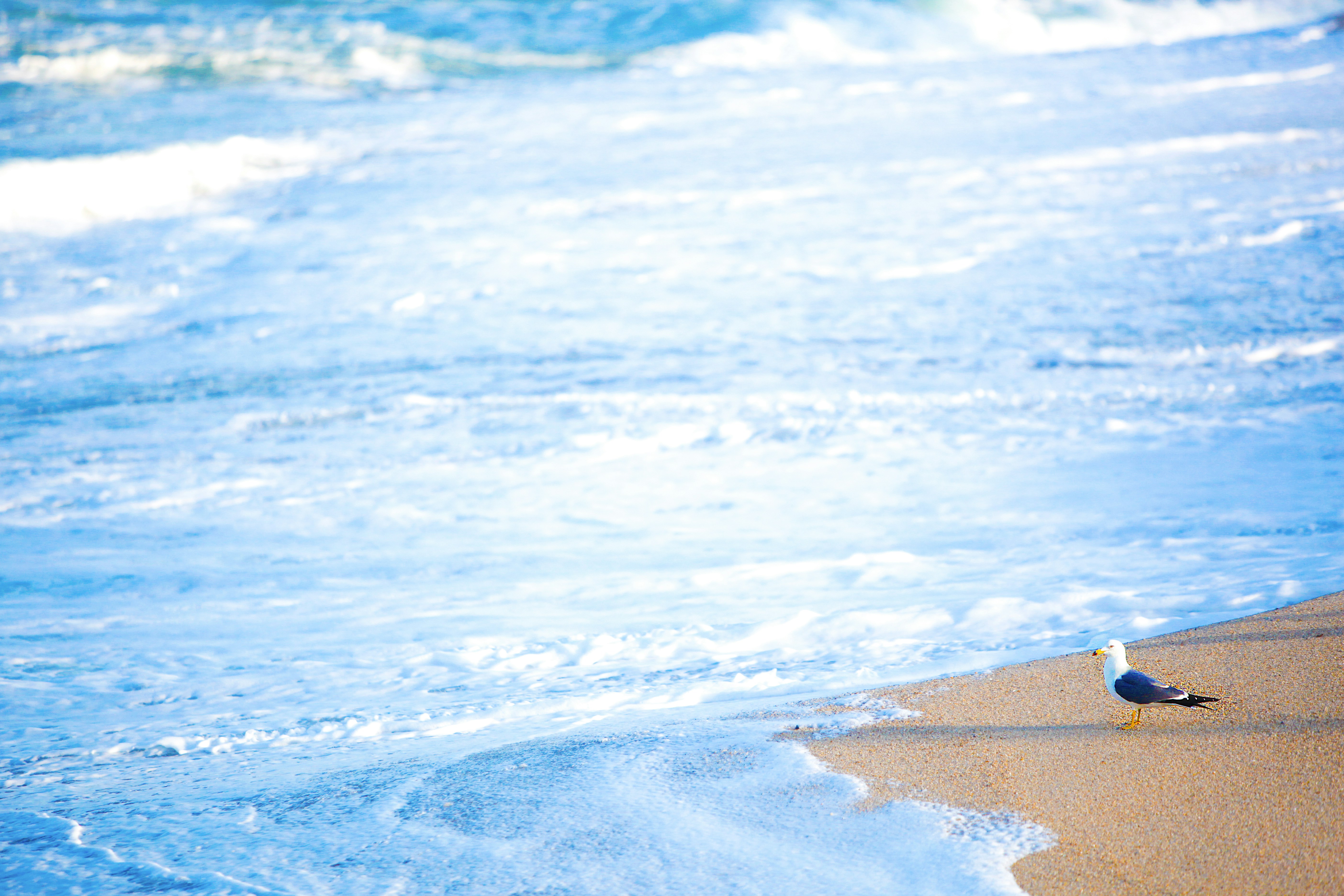 Free Unsplash photo from SIM SUNGBO