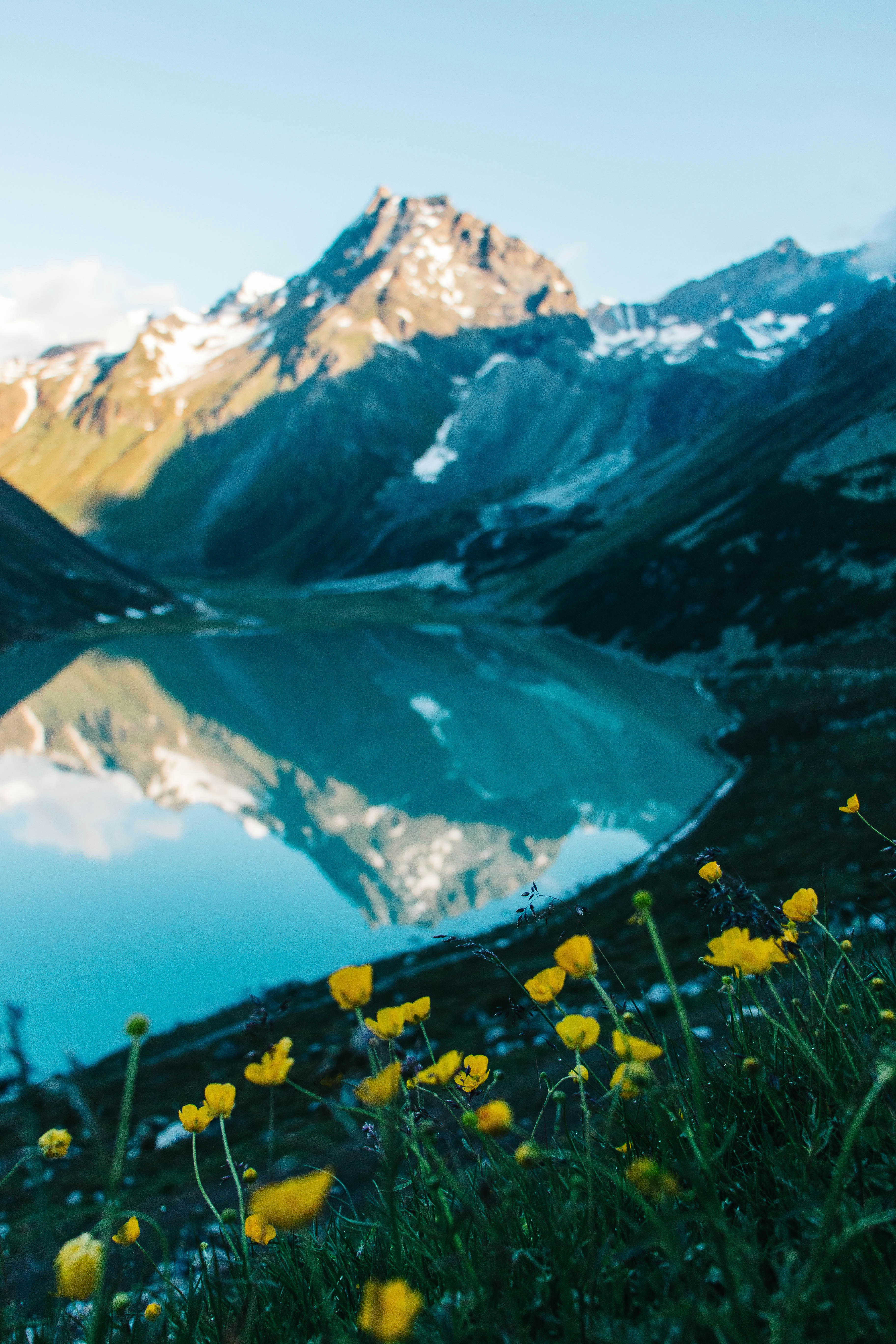 Free Unsplash photo from Idan Arad