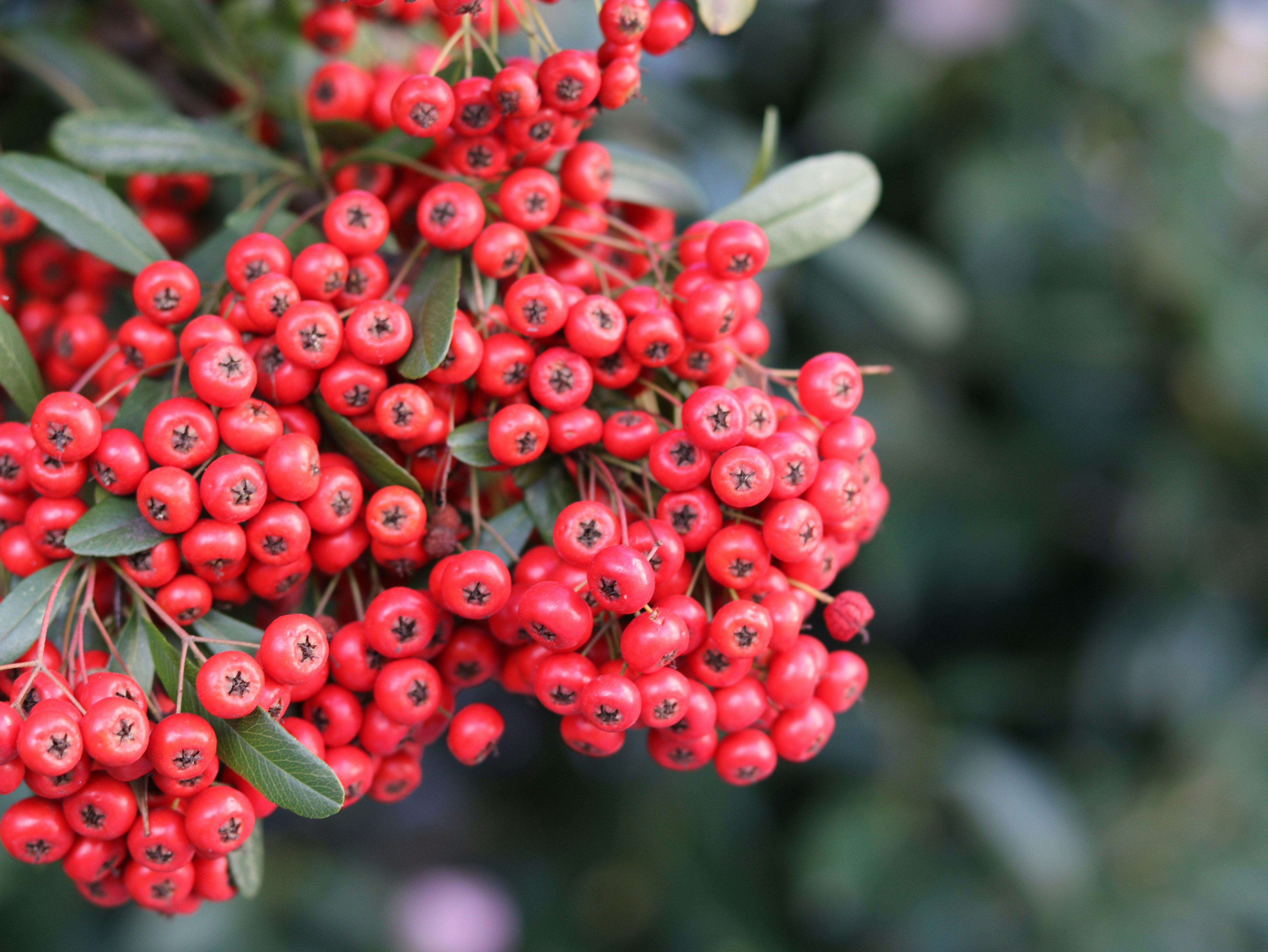 Free Unsplash photo from kento ishiduka