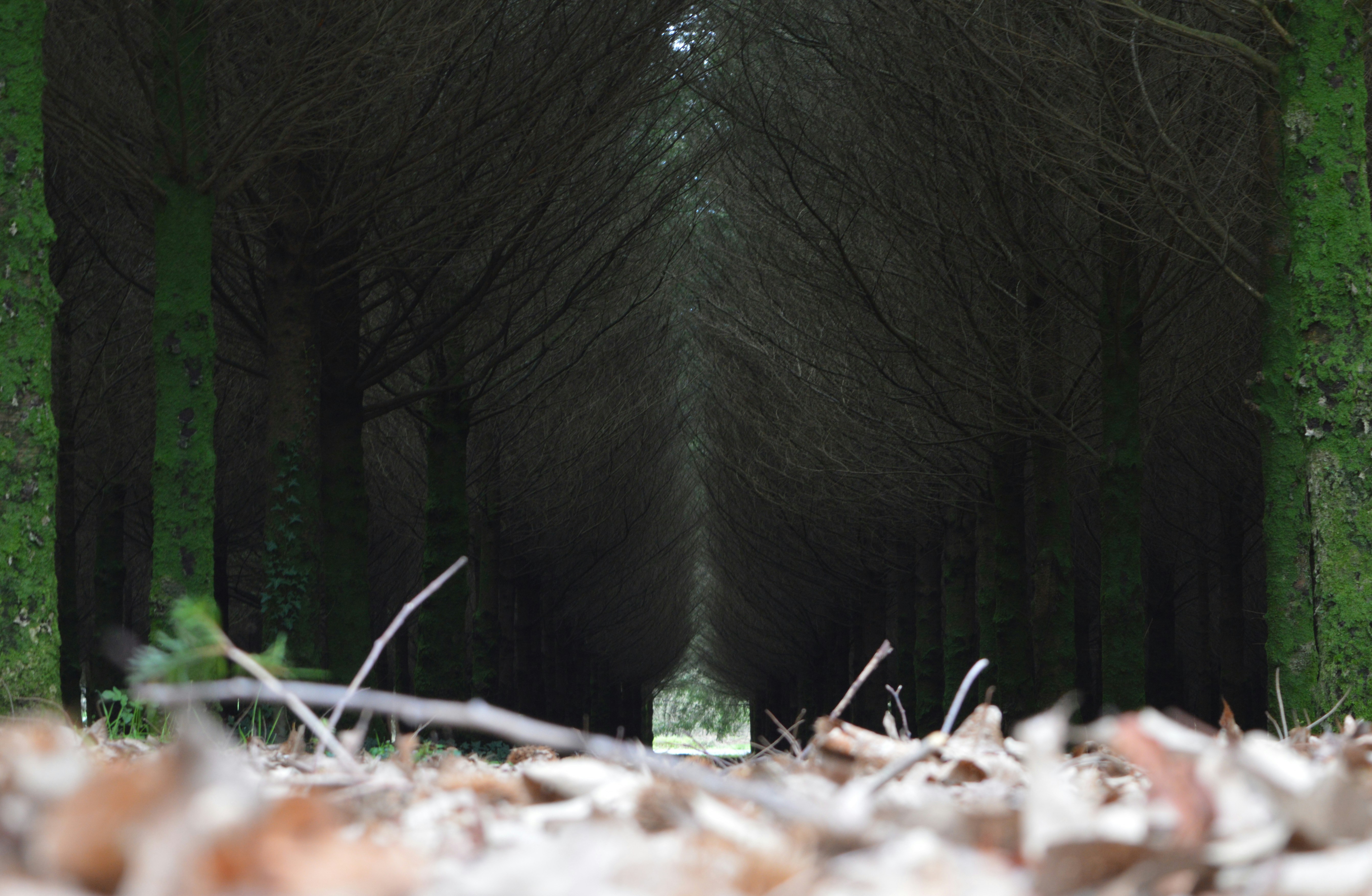 Free Unsplash photo from Gabriel Izgi