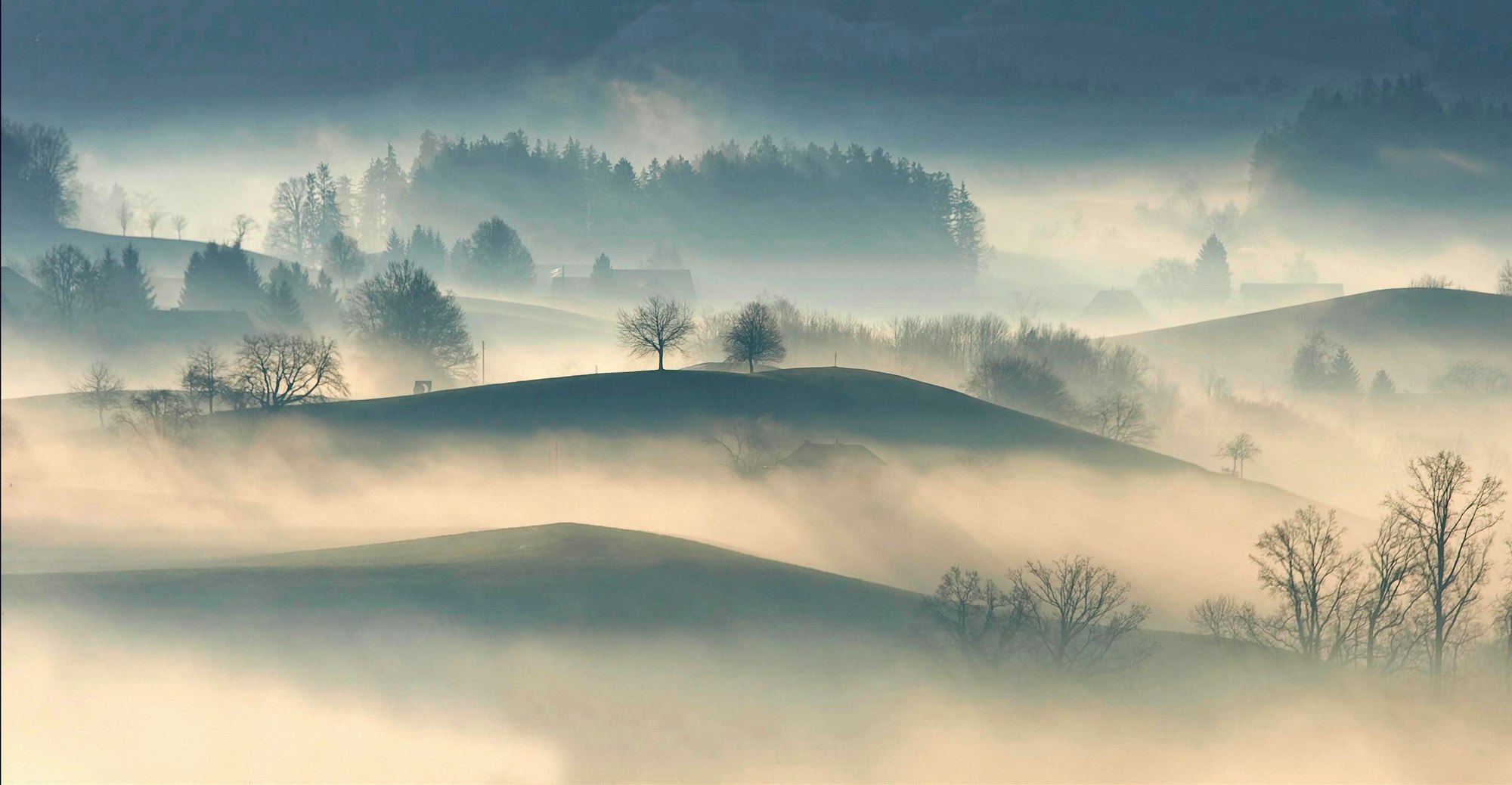 Feux De Brouillard Avant et Arrière