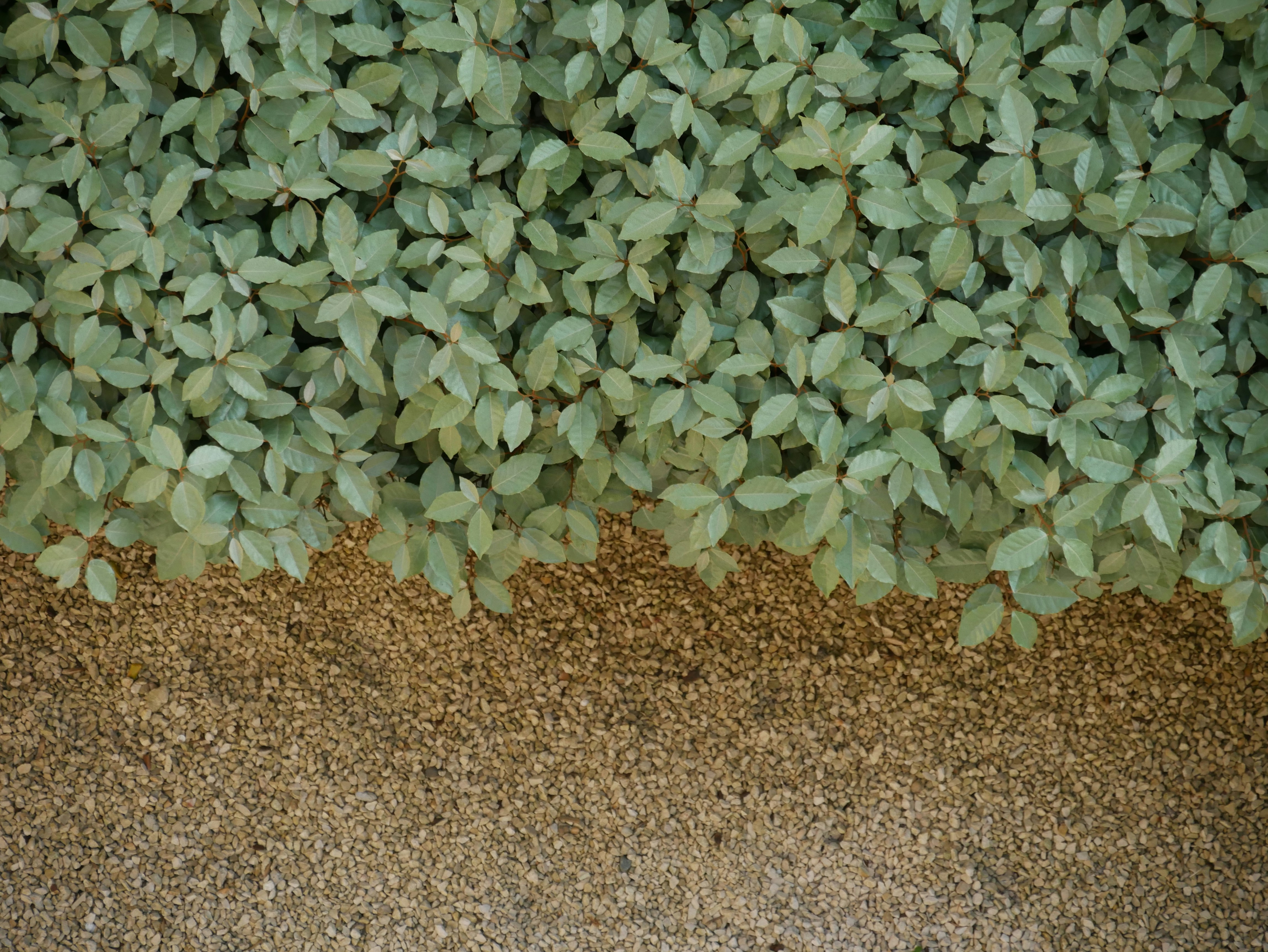 Free Unsplash photo from Wenceslas Lejeune