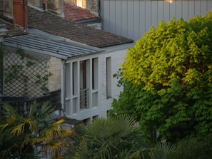 A residential area features a stone building with a metal roof and trellis, adjacent to lush, green trees. The sunlight casts a warm glow on the greenery, suggesting an evening setting.